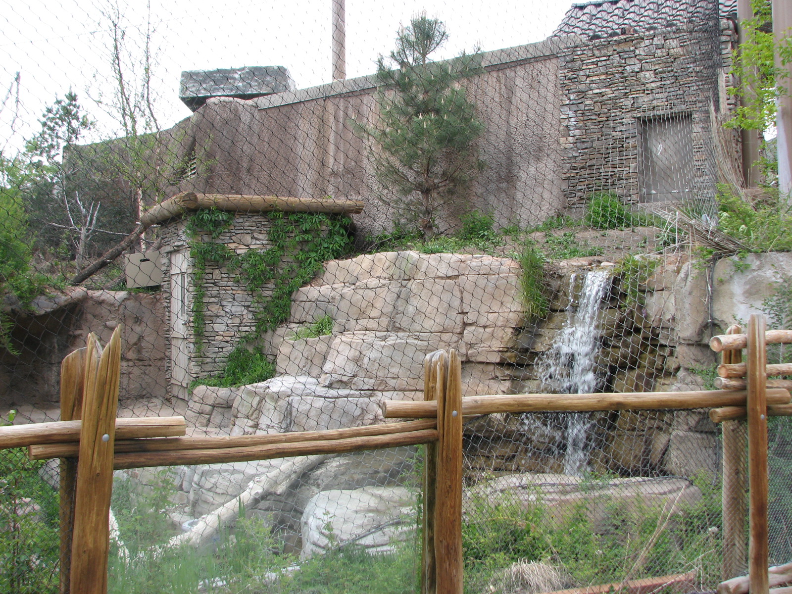 Asian Highlands - Snow Leopard