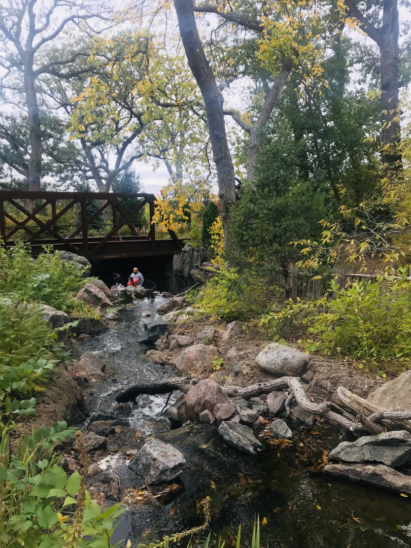 Asian Highlands - Stream