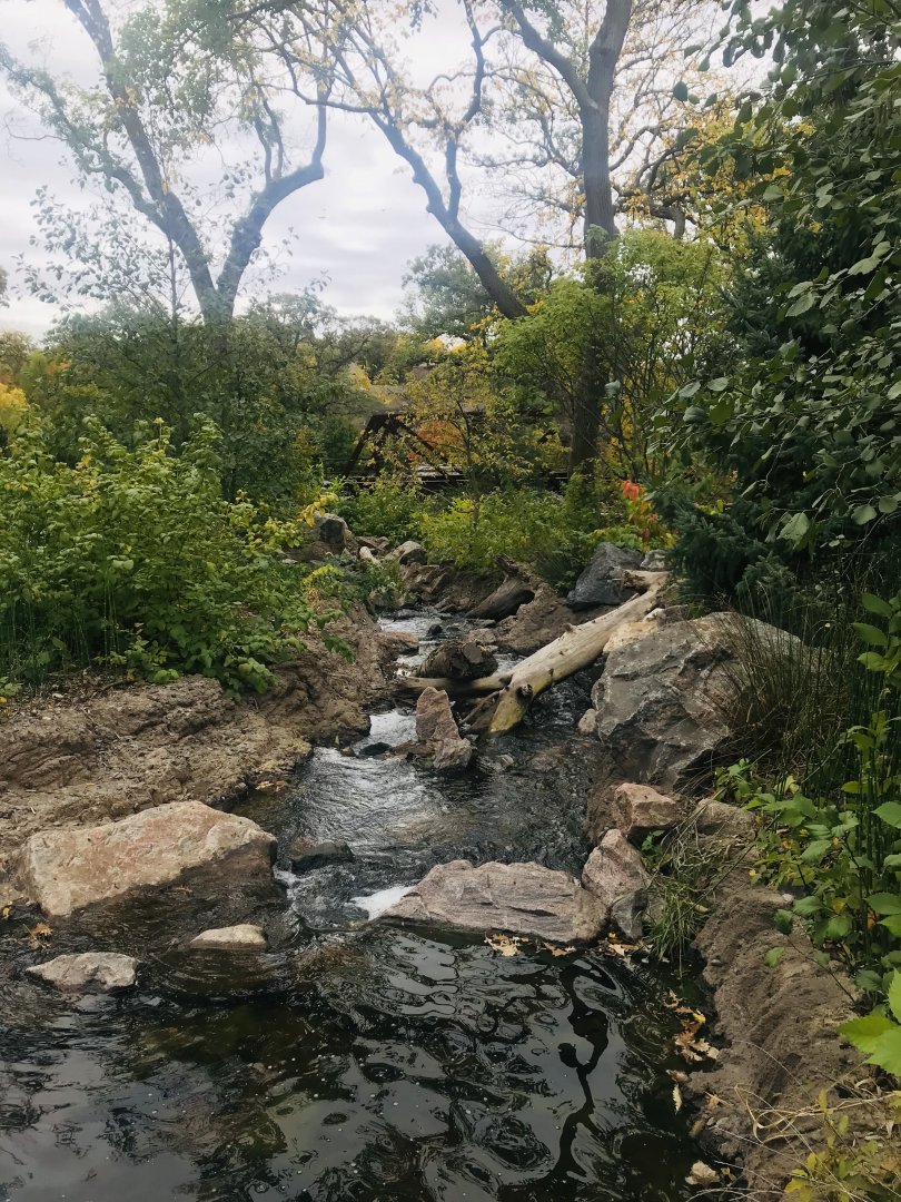 Asian Highlands - Stream