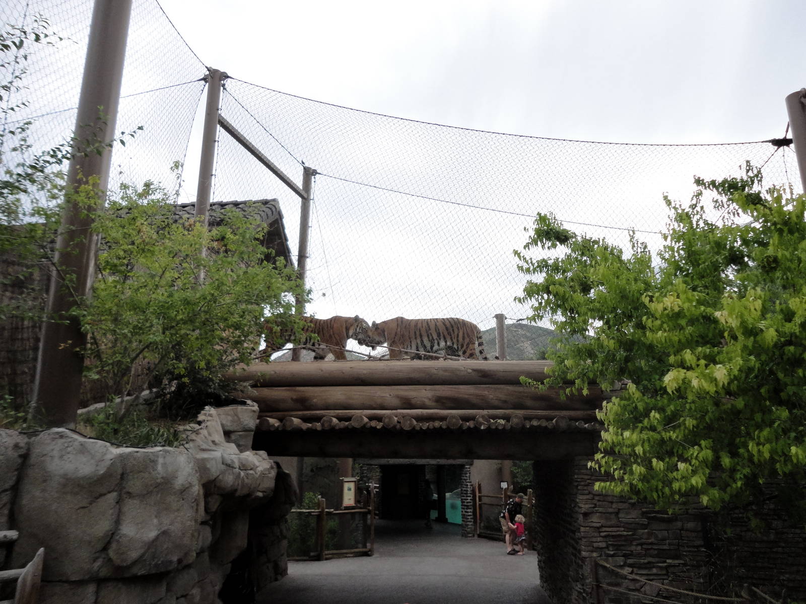 Asian Highlands - Tiger Bridge