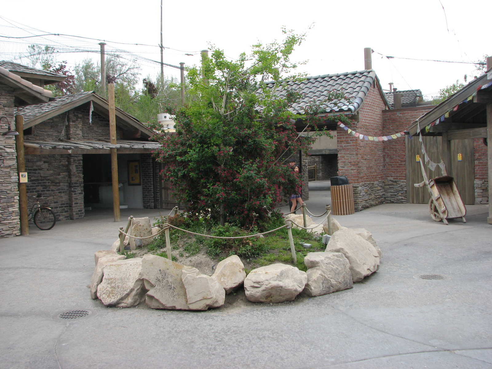 Asian Highlands - Visitor Amenities