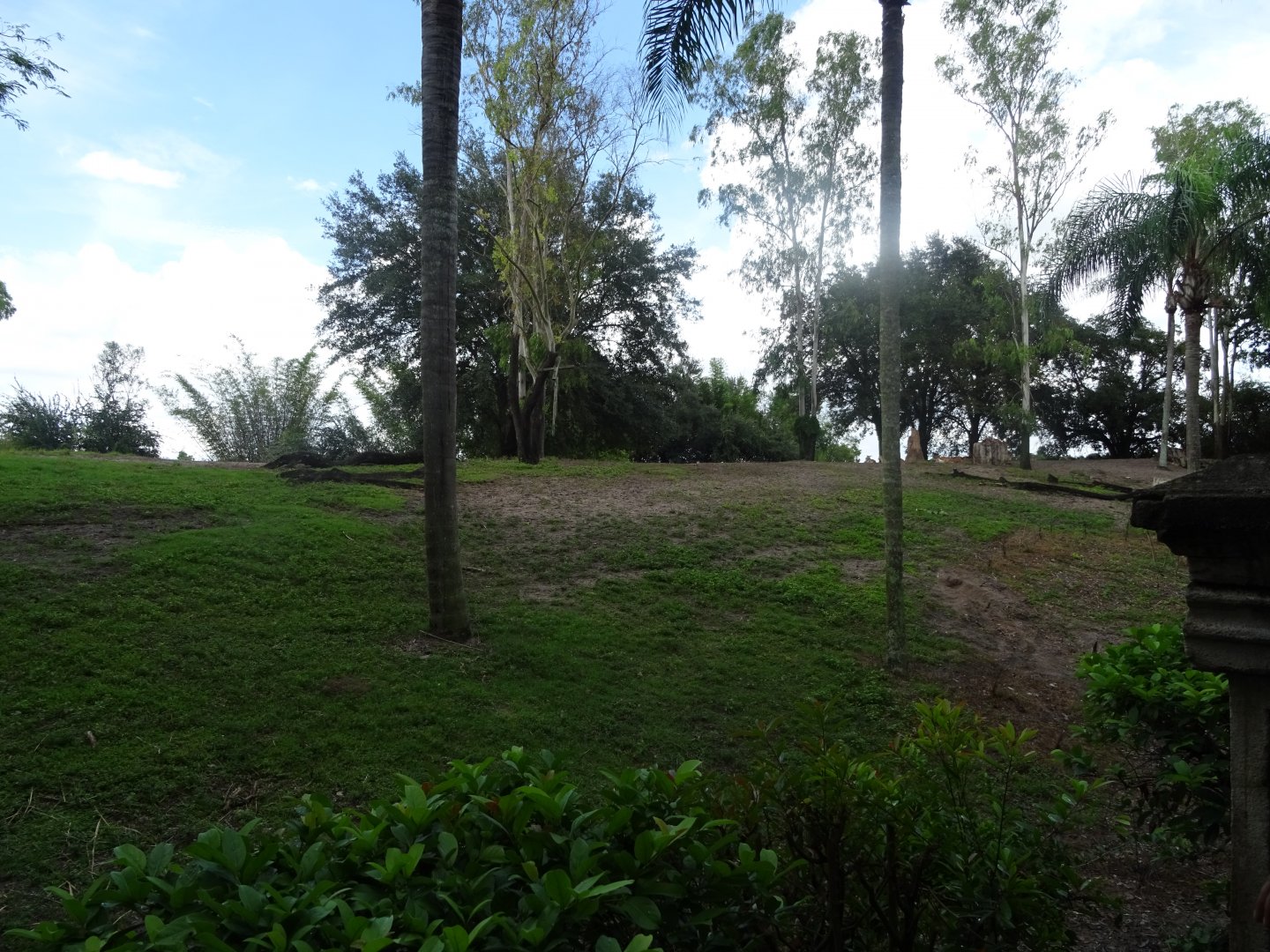 Asian Hoofstock Enclosure at Disney's Animal Kingdom (2014)