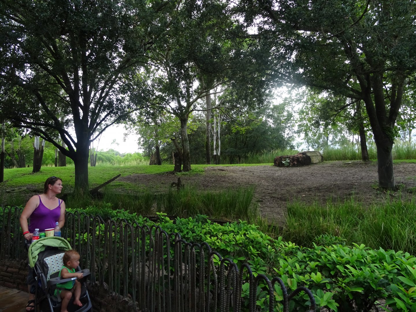 Asian Hoofstock Enclosure at Disney's Animal Kingdom (2014)
