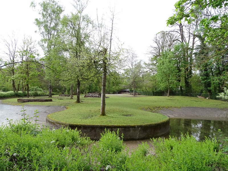 Asian hoofstock enclosure