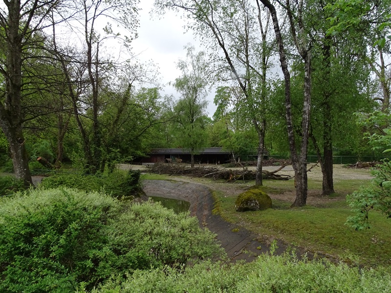 Asian hoofstock enclosure