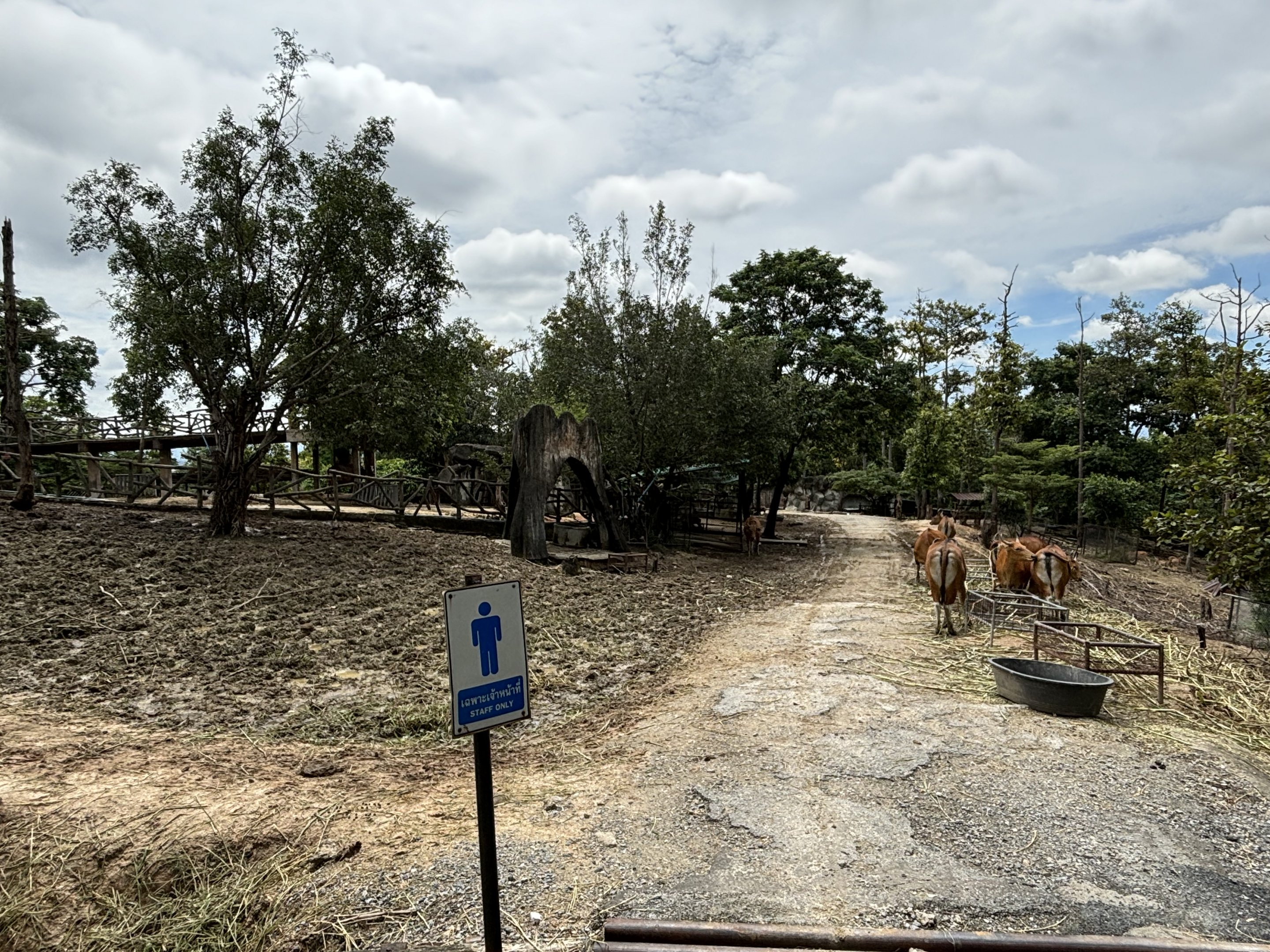 Asian Hoofstock Exhibit