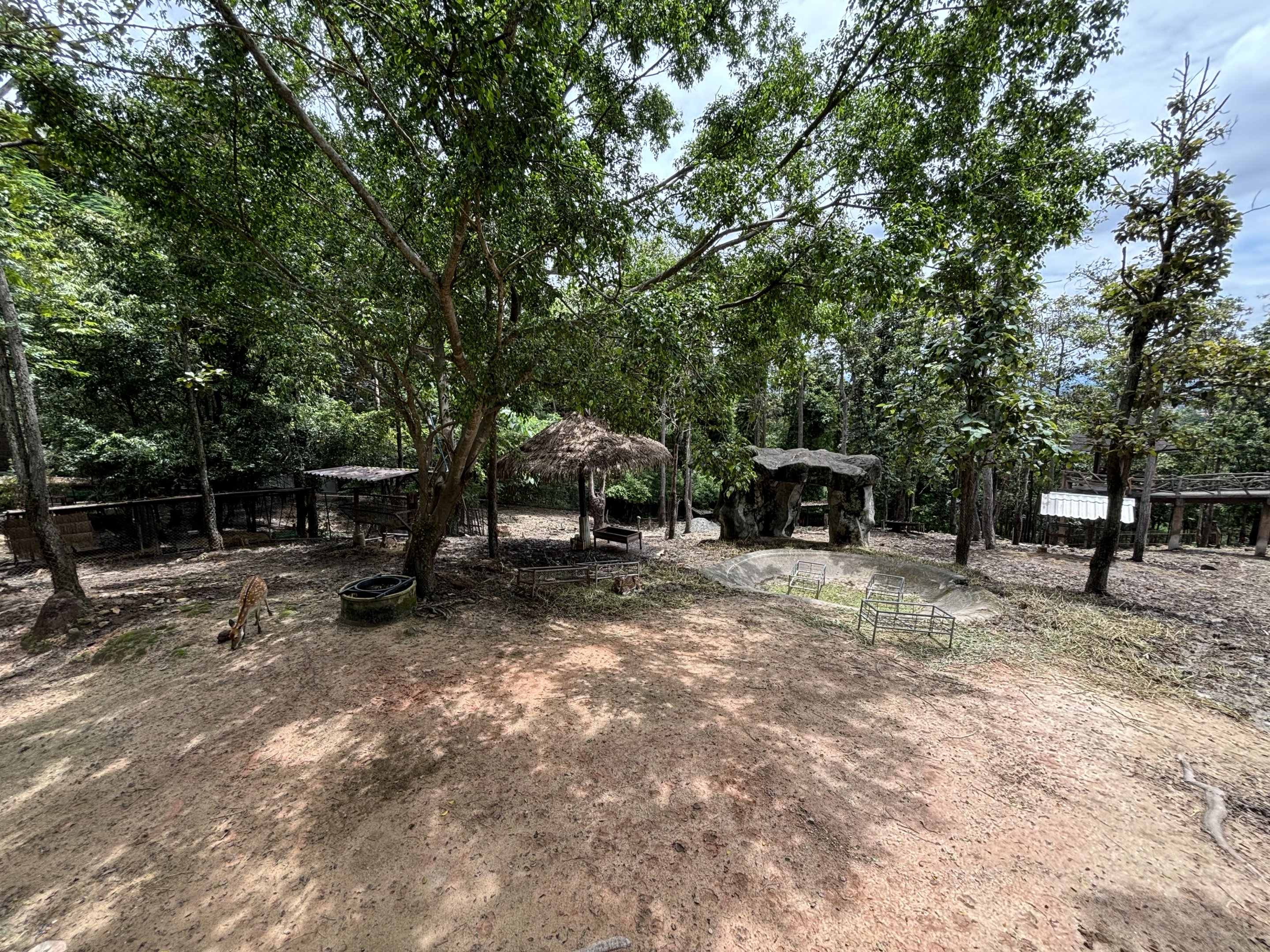 Asian Hoofstock Exhibit