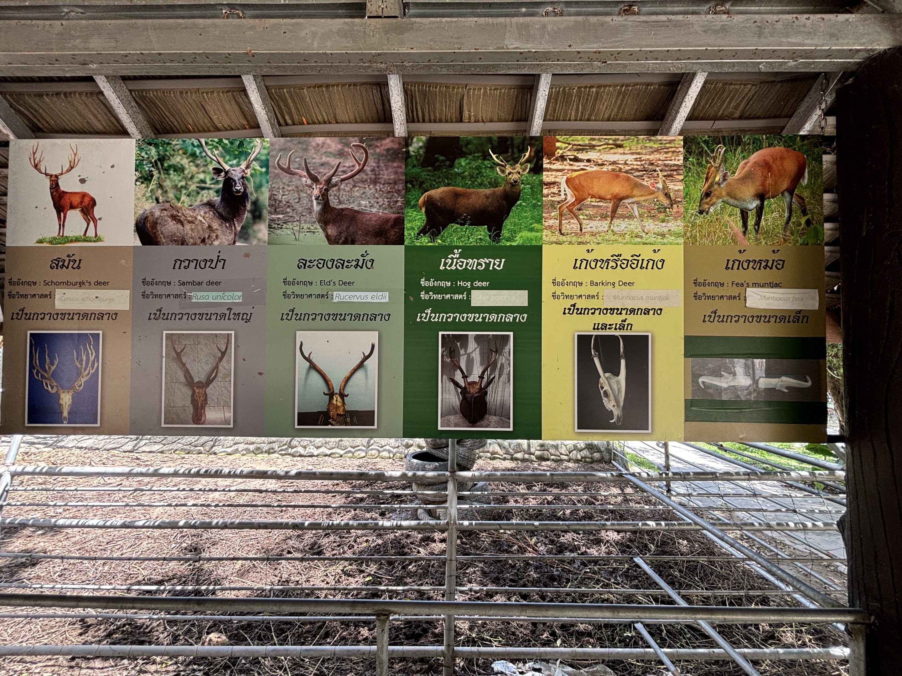 Asian Hooftstock Exhibit - sign