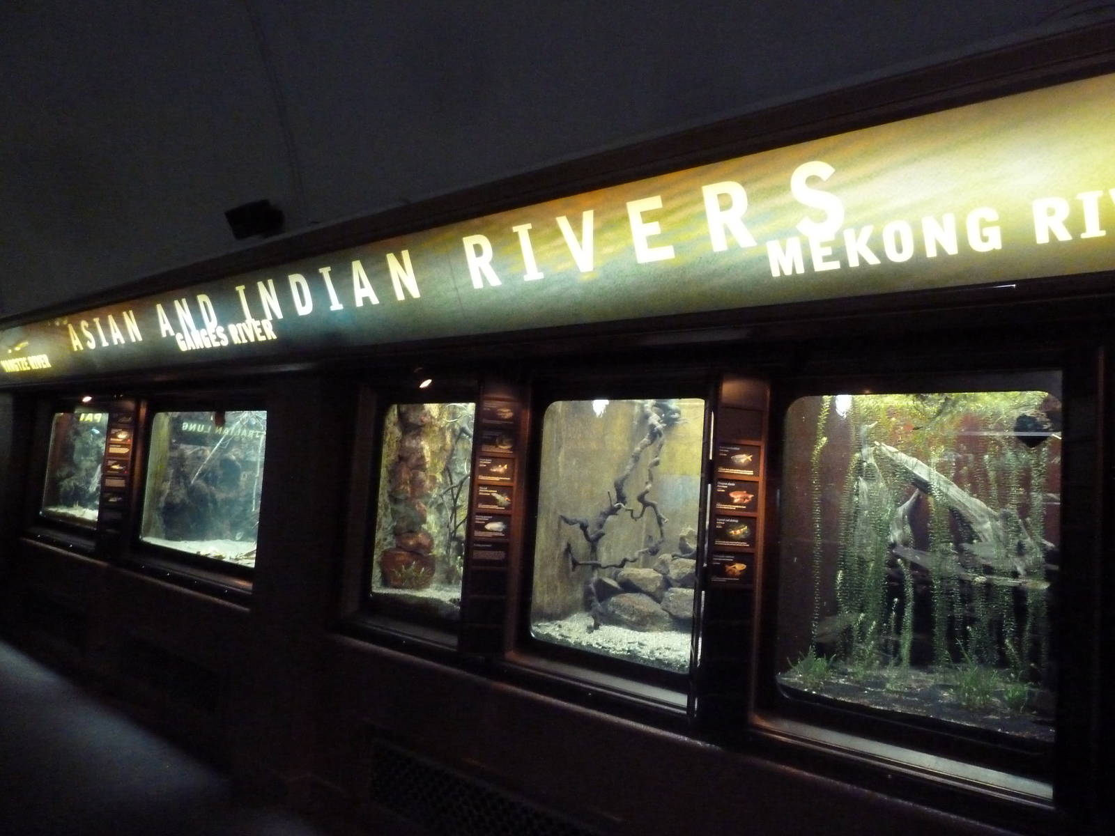 Asian + Indian Rivers