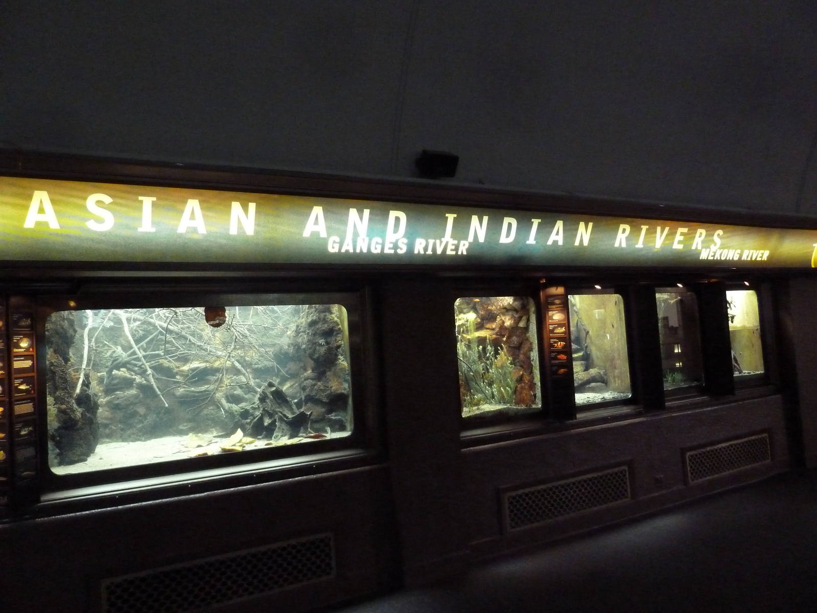 Asian + Indian Rivers