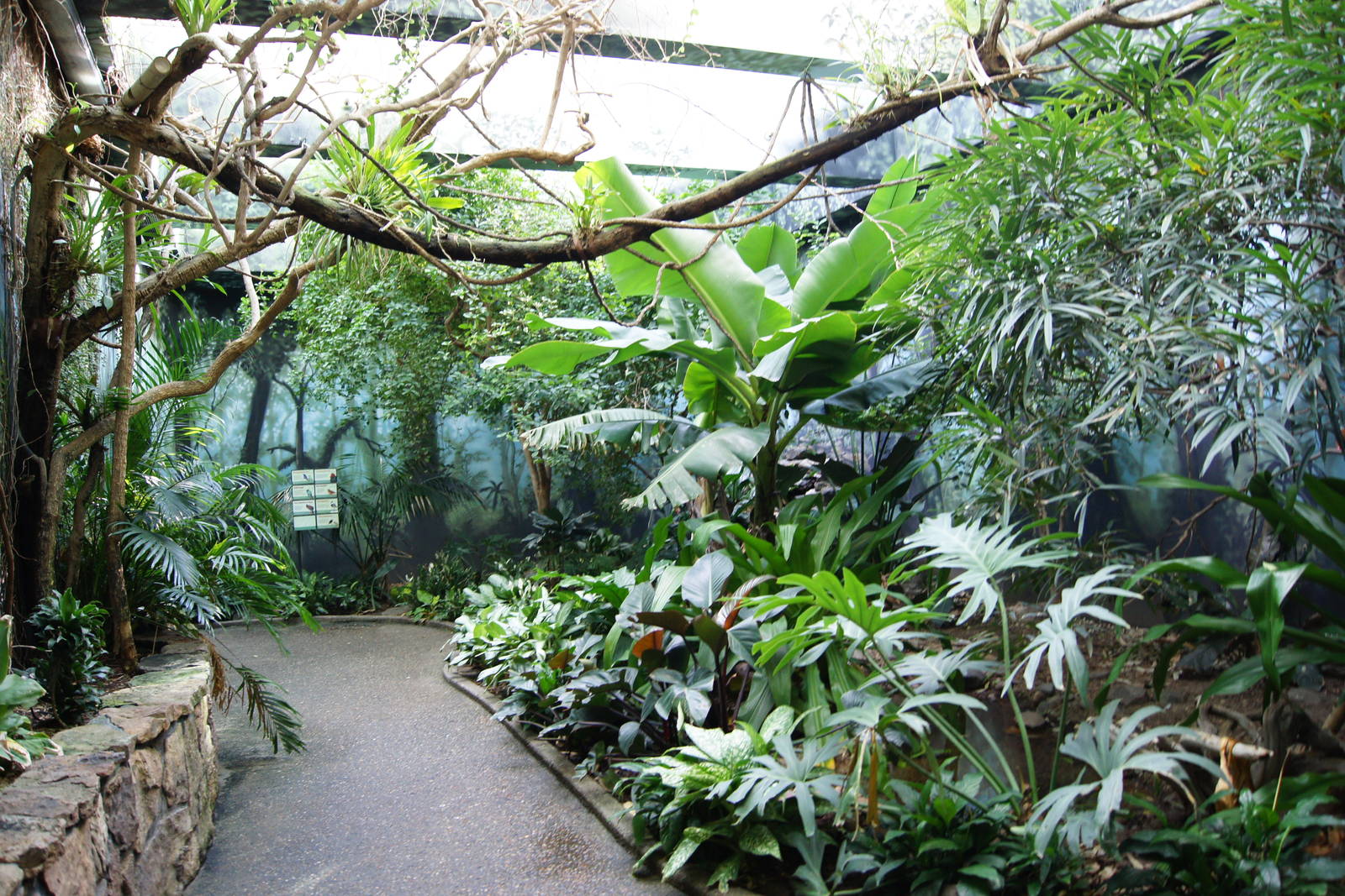 Asian Jungle Interior