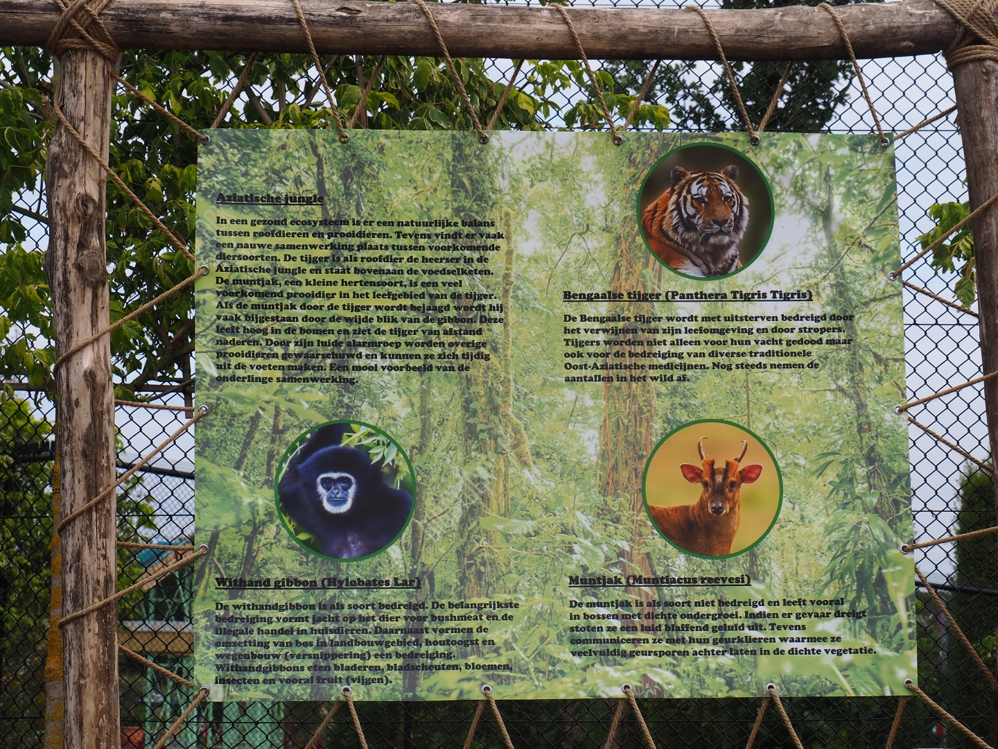 Asian jungle species sign (Aug 28th, 2018)