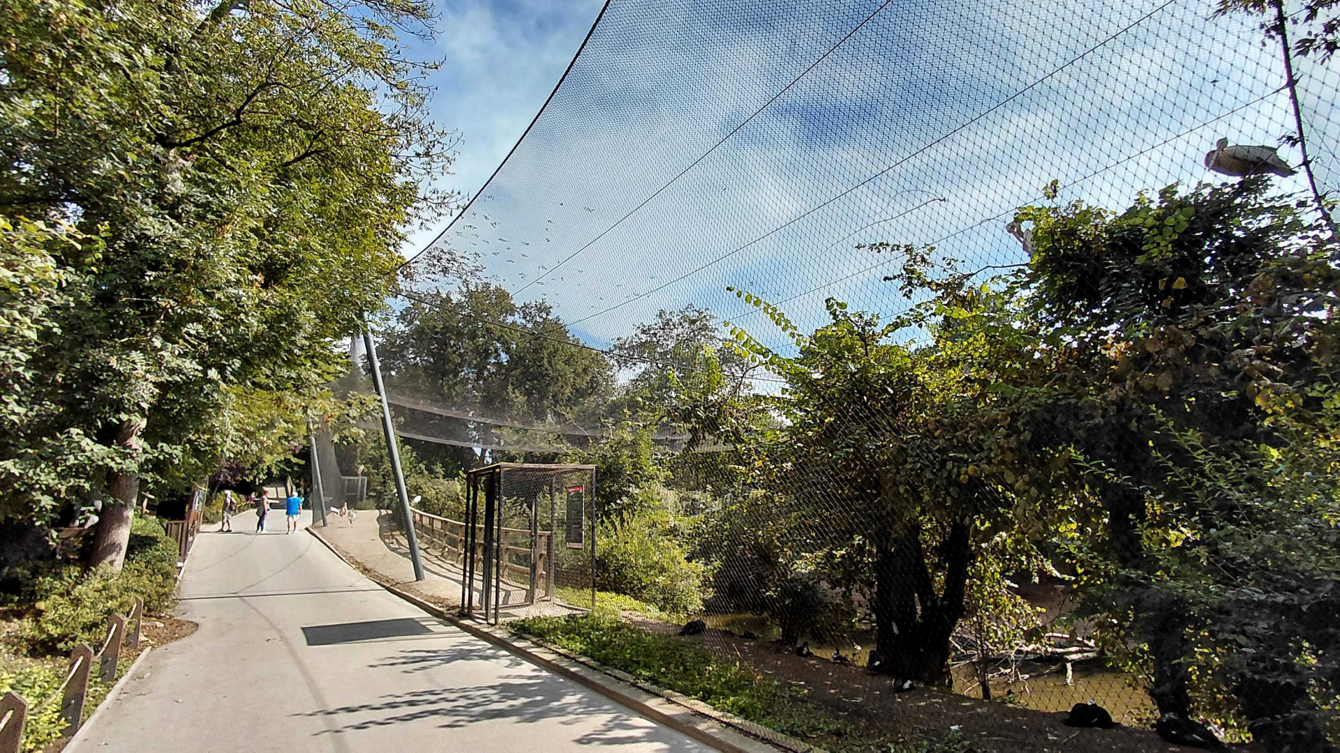 Asian lagoon walk in aviary