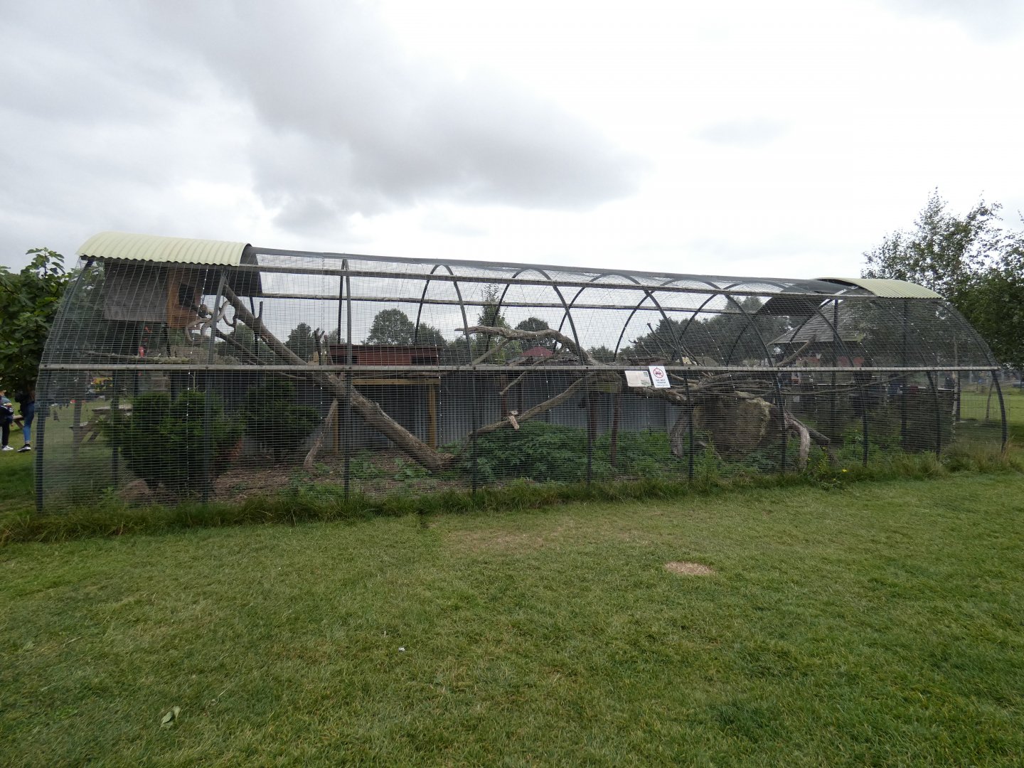 Asian leopard cat enclosure (Johnson's of Old Hurst)
