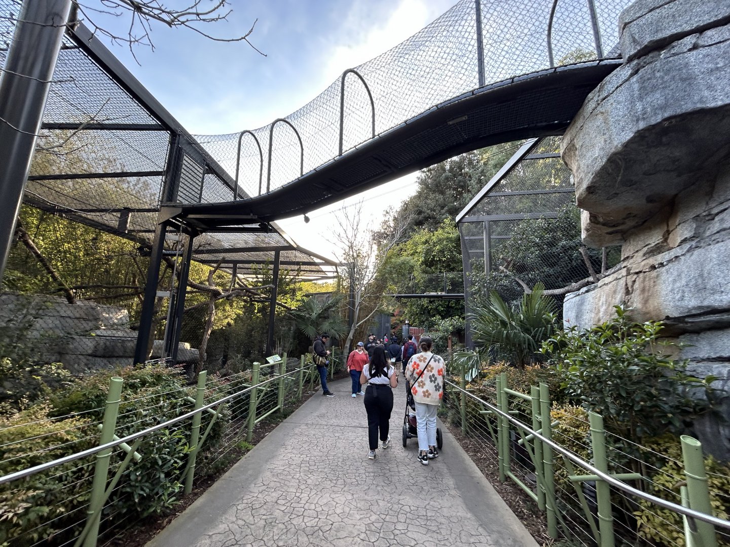 Asian Leopard Exhibits - Asian Passage