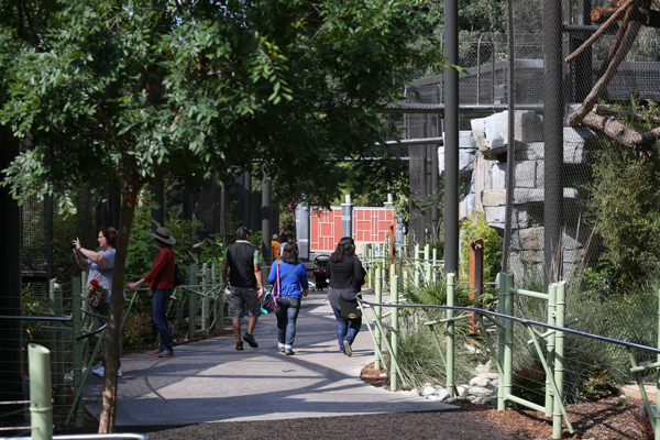 Asian leopard exhibits