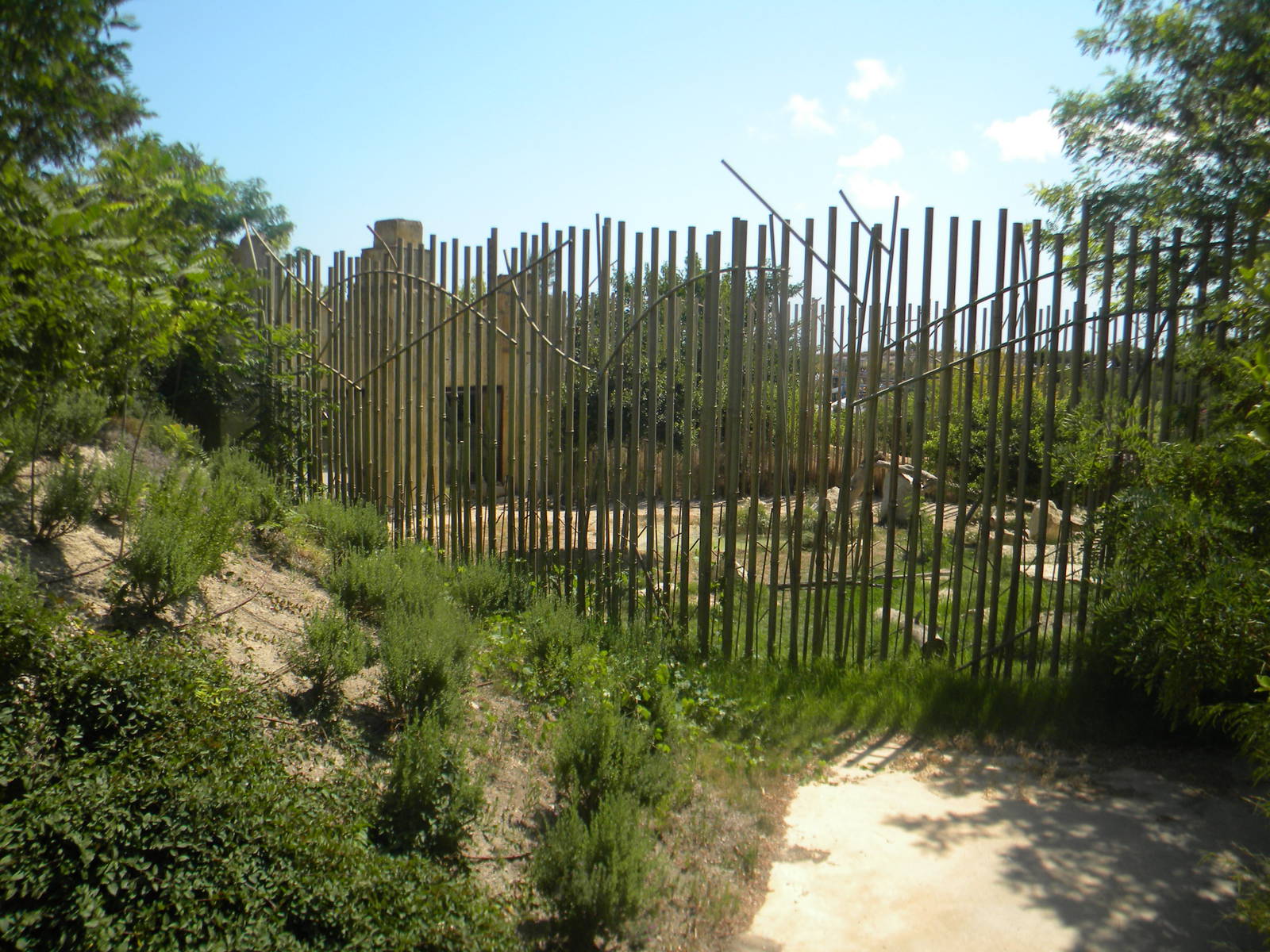Asian Lion enclosure at Terra Natura 29/07/11