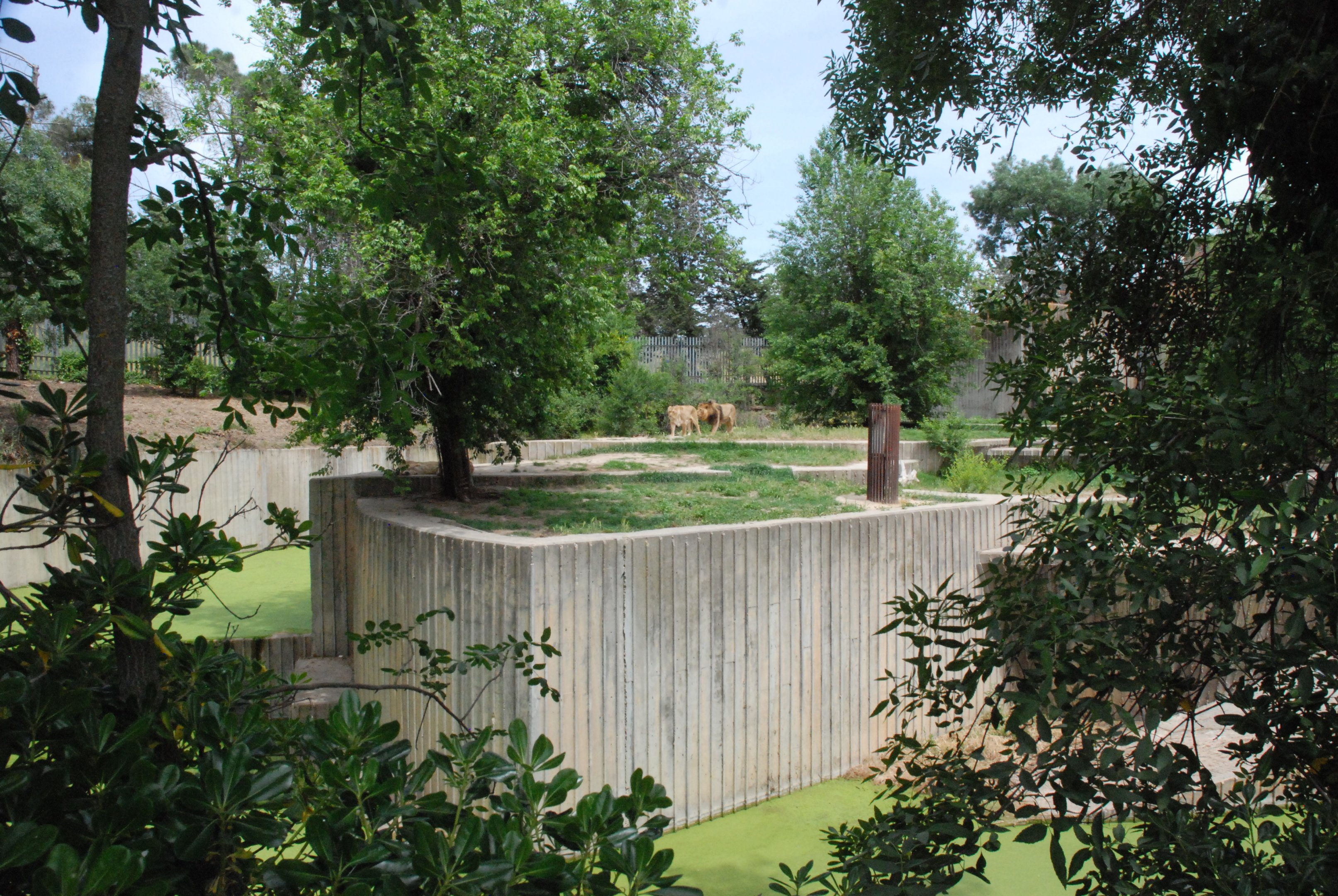 Asian Lion Enclosure at Zoo Aquarium de Madrid, 20th May 2022