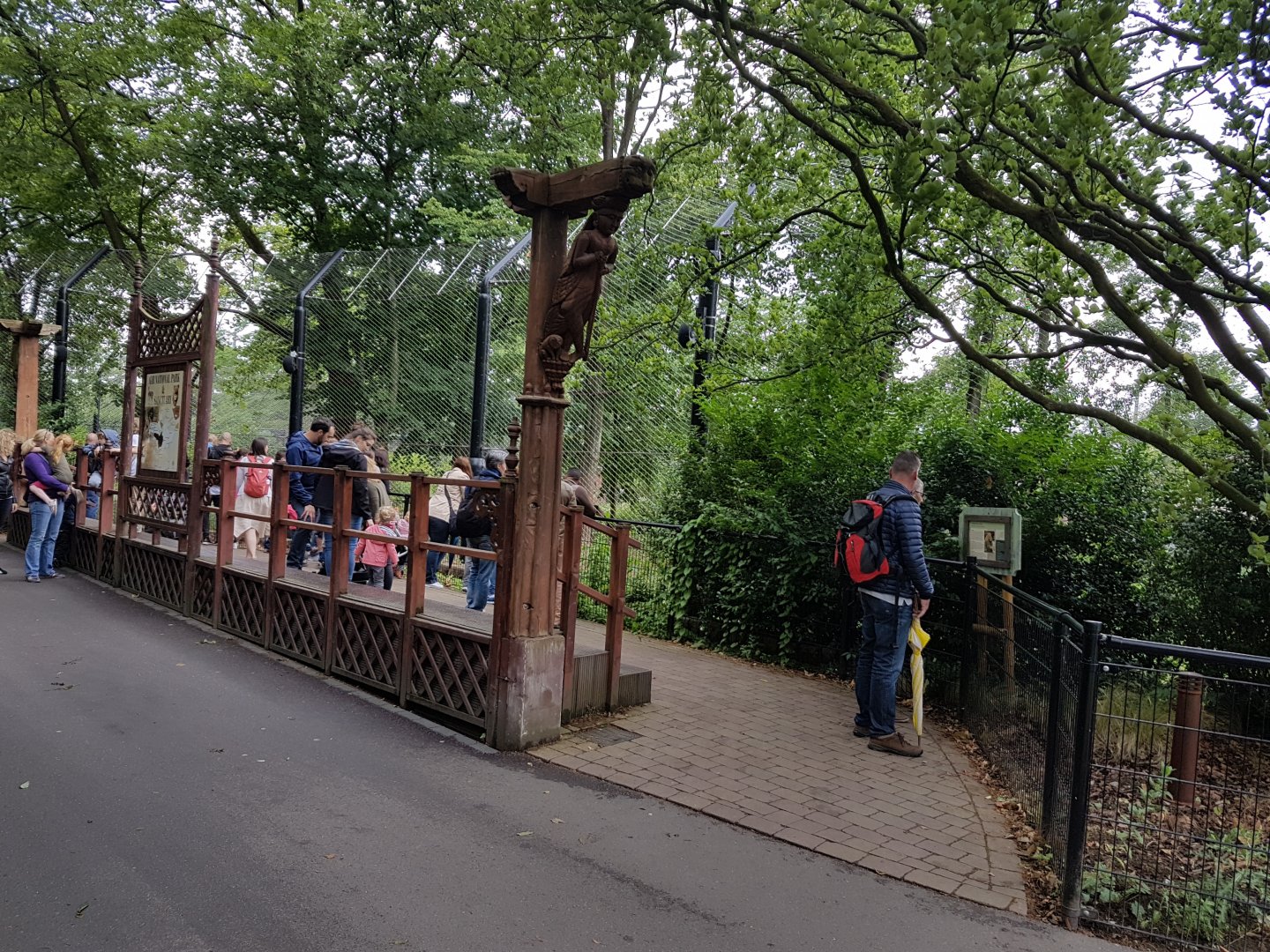 Asian lion outdoor-enclosure