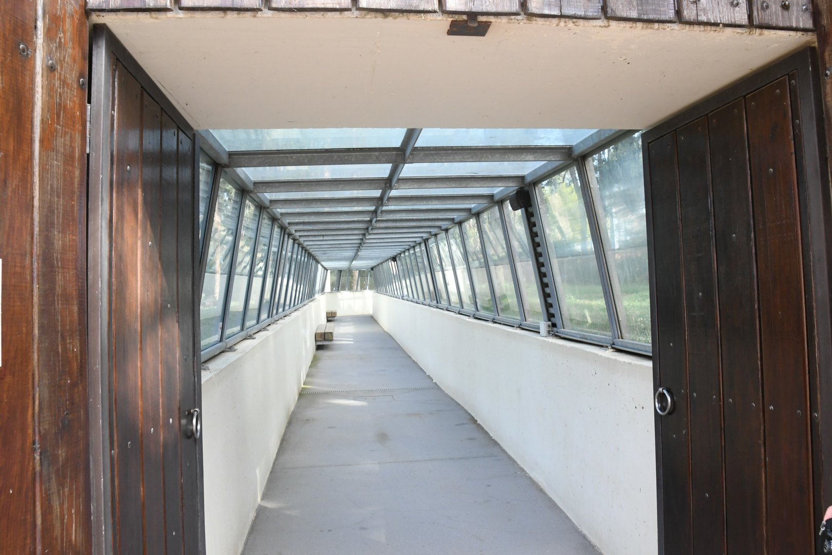 Asian Lions' exhibit tunnel
