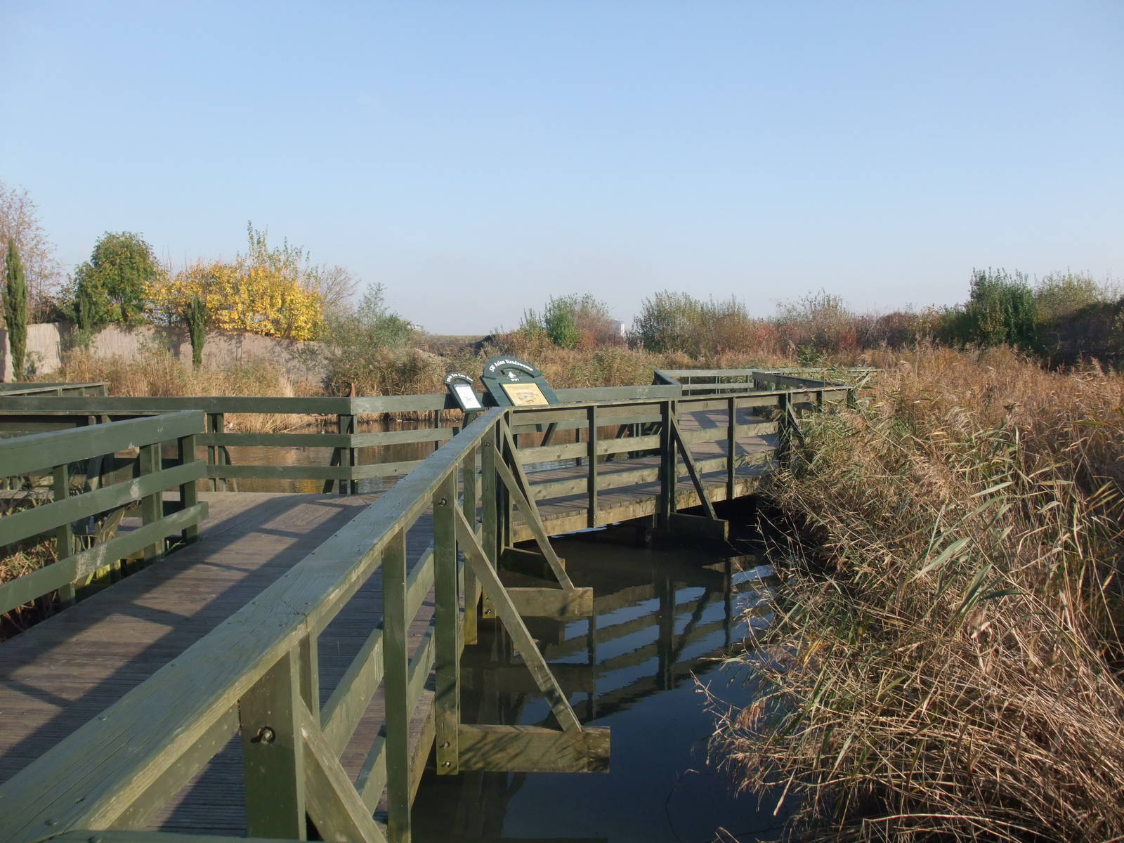 Asian Marsh Waterfowl Pen at London WWT (Barnes), 15/11/11