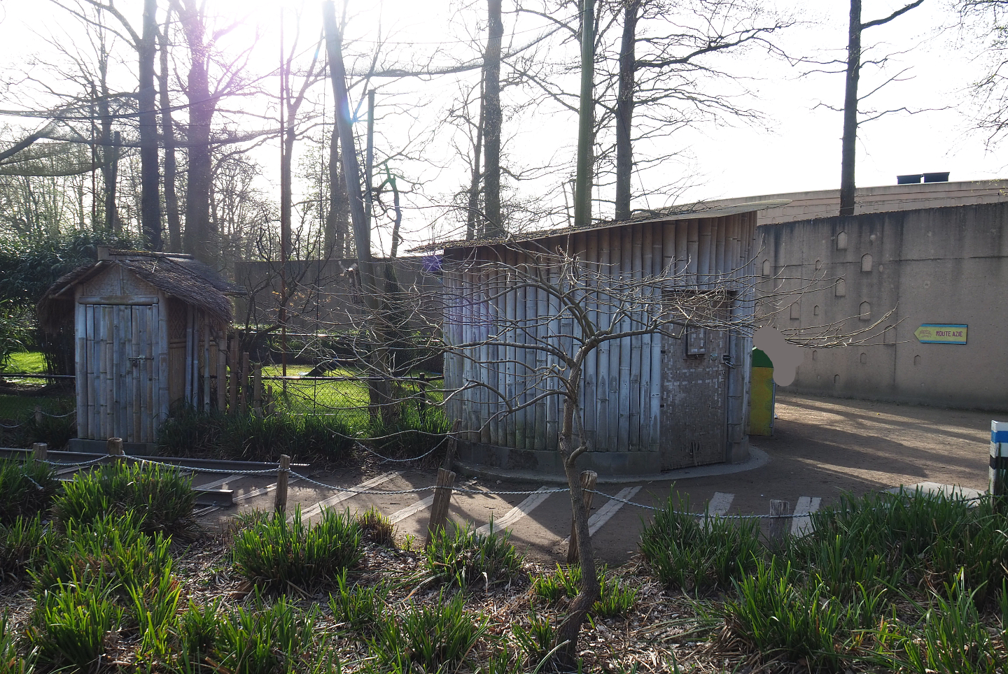 Asian mixed aviary bird barns, 2022-04-12