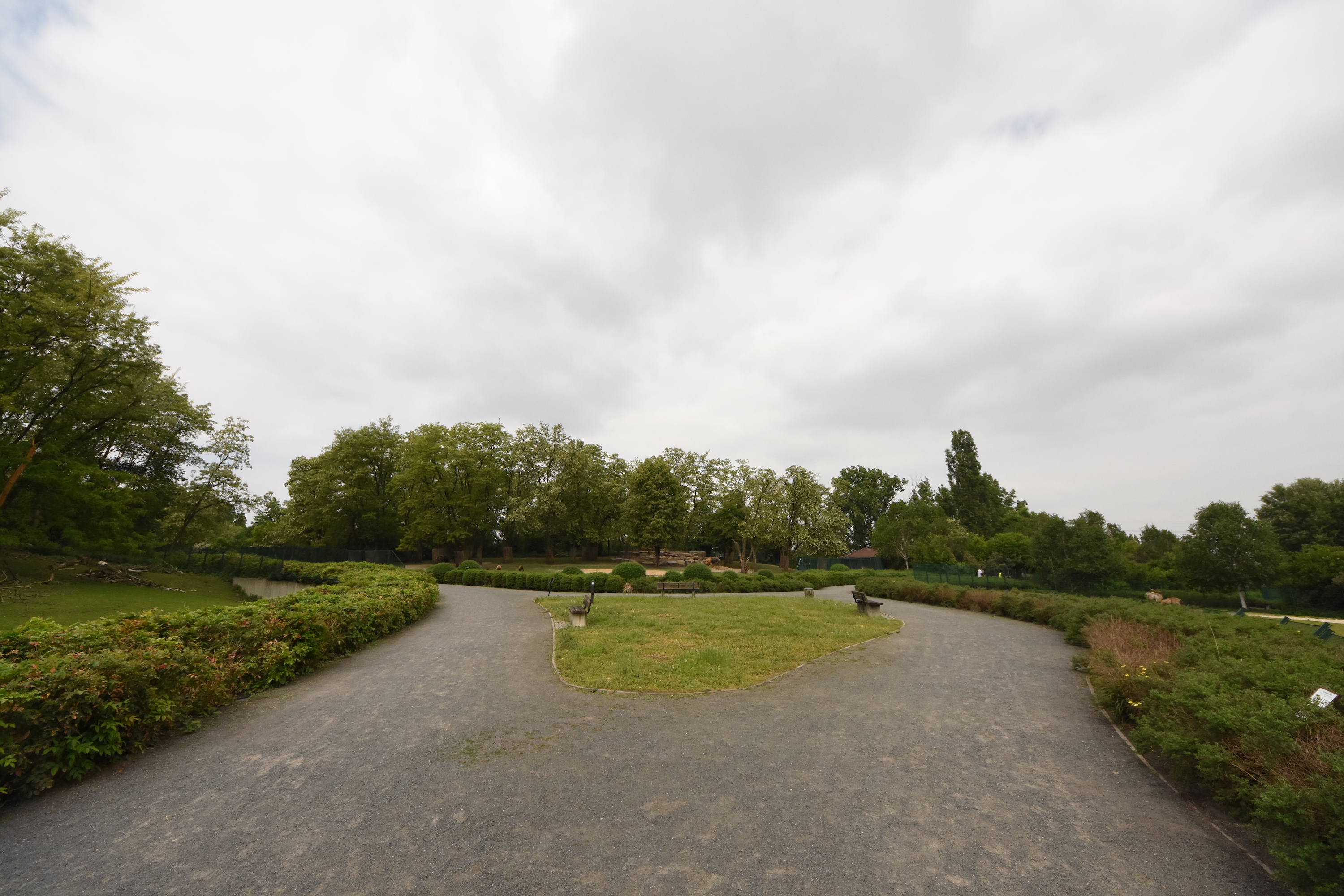 Asian mountain areas