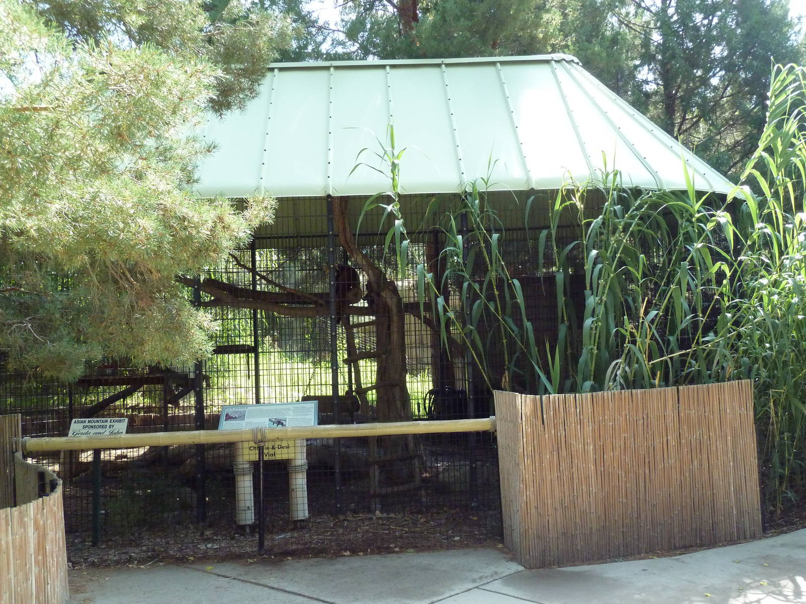 Asian Mountain - Red Panda Exhibit
