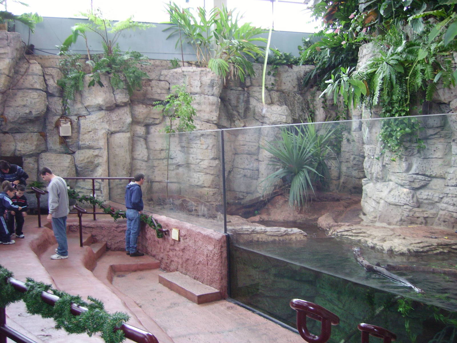 Asian Otter exhibit - Newport Aquarium