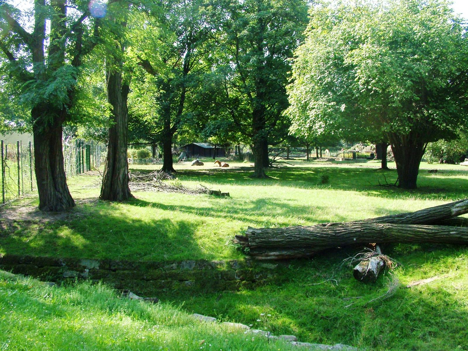 Asian Paddock at Dresden, 29/08/12
