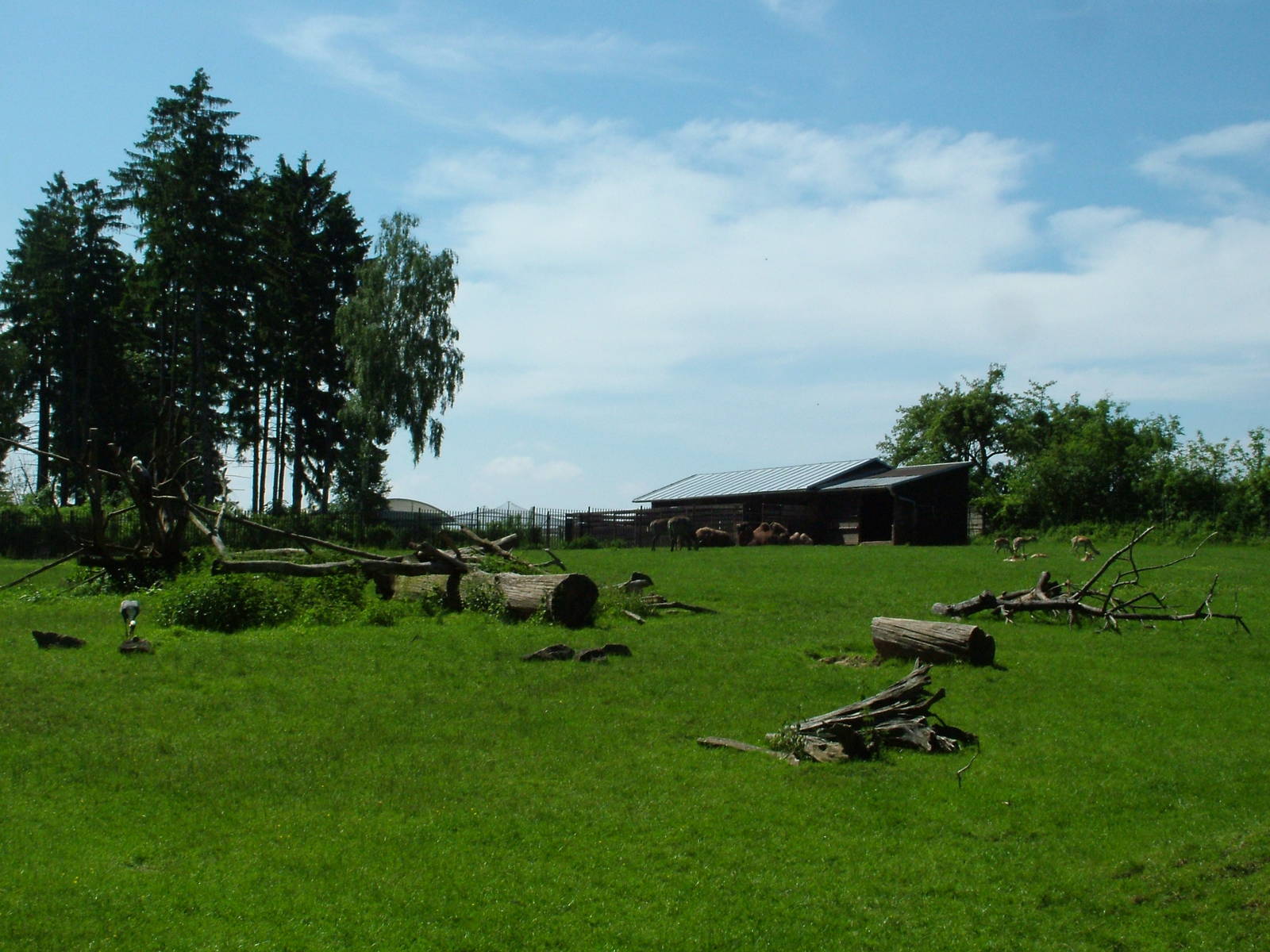 Asian paddock at Zlin, 28/05/10
