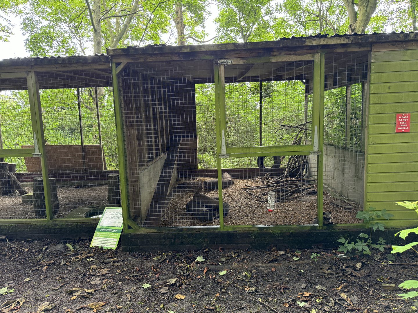 Asian Palm Civet Enclosure at Bridlington Animal Park (July 2024)