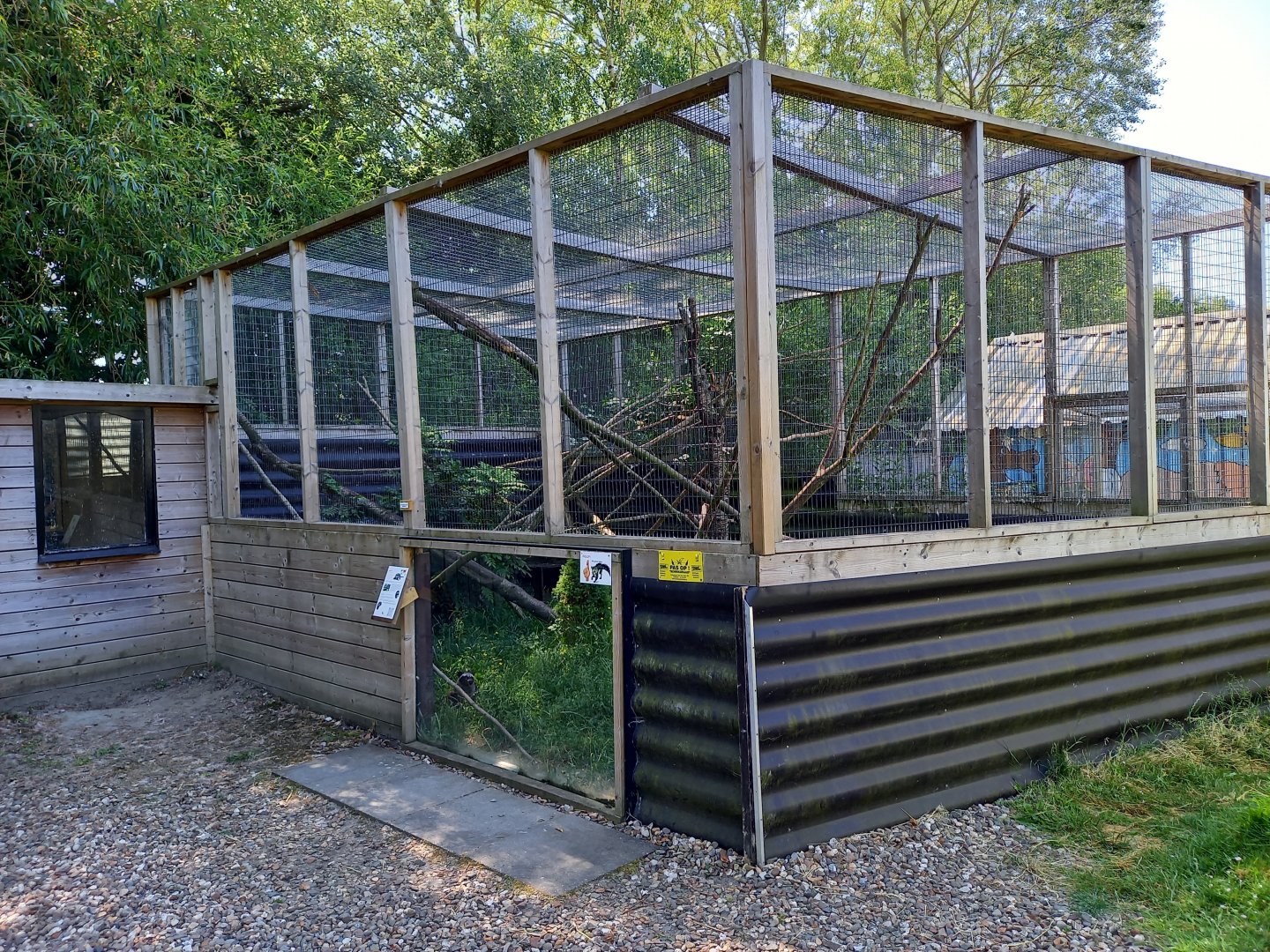 Asian palm civet-enclosure