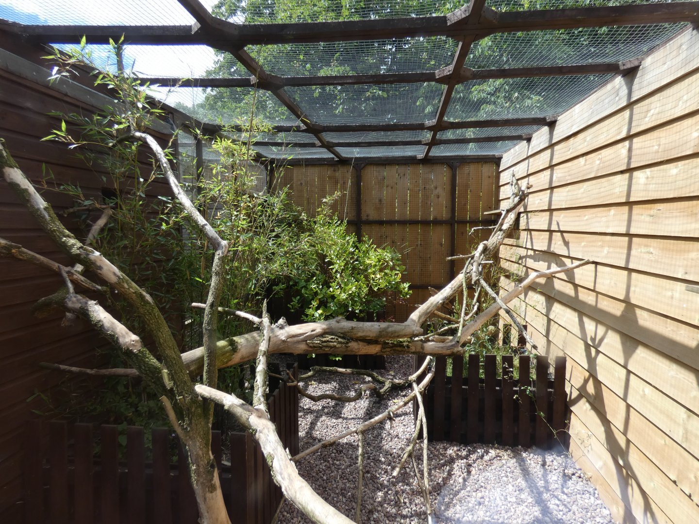 Asian palm civet enclosure