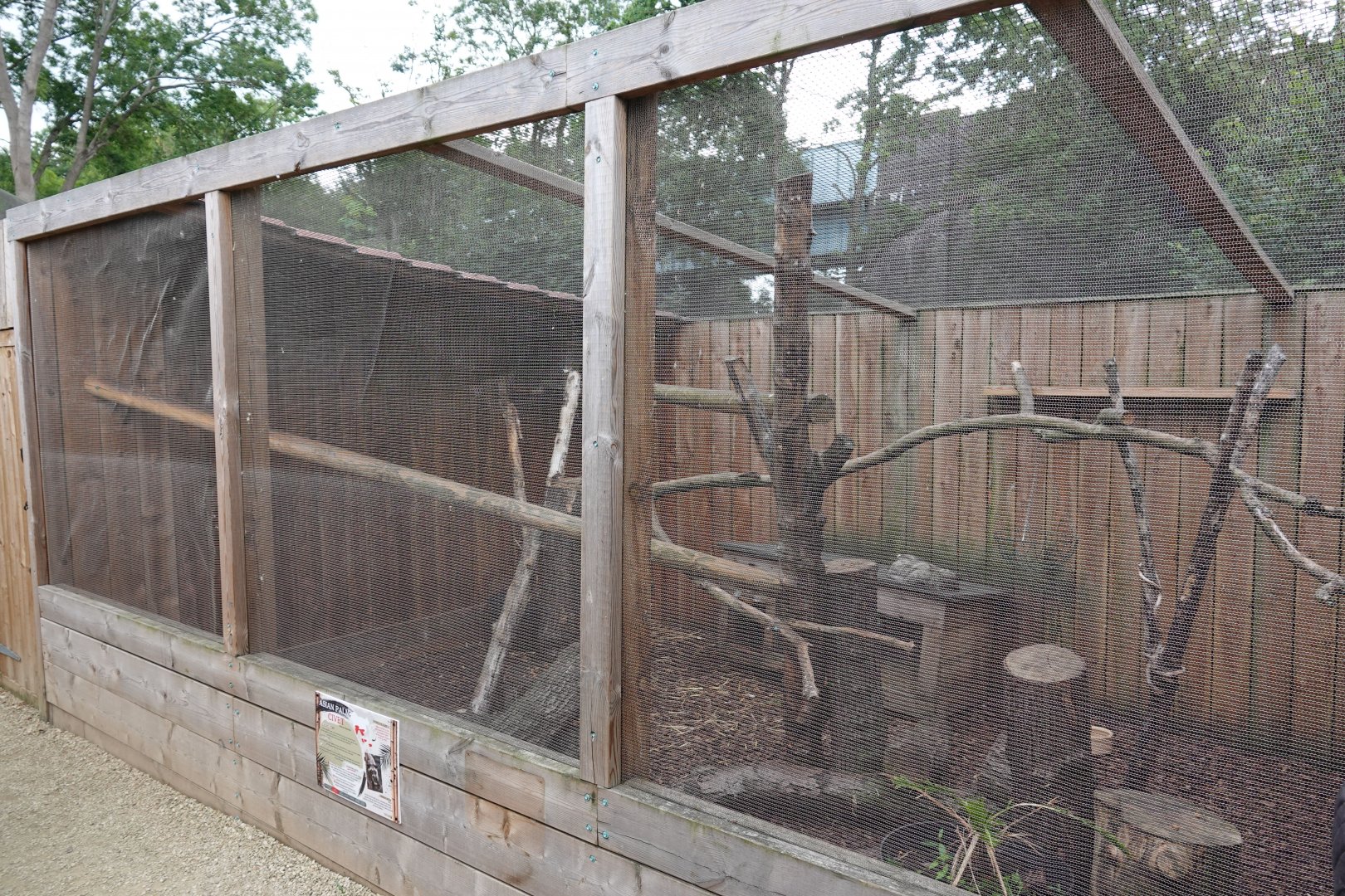 Asian palm civet enclosure