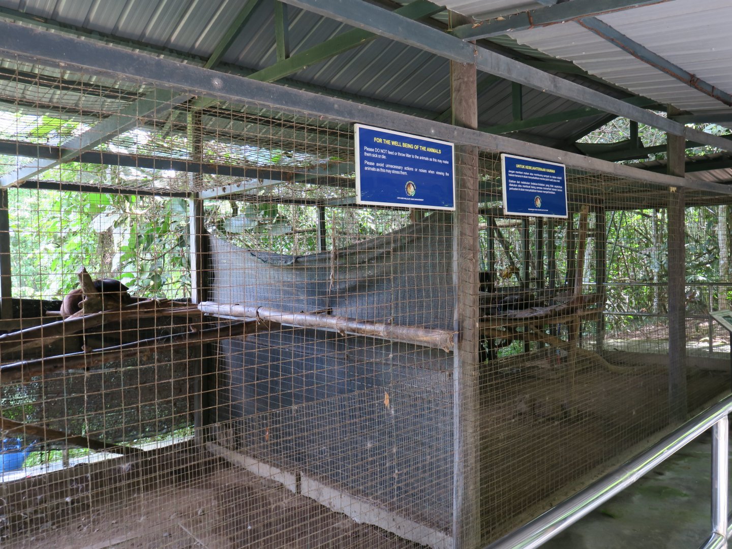Asian palm civet enclosures
