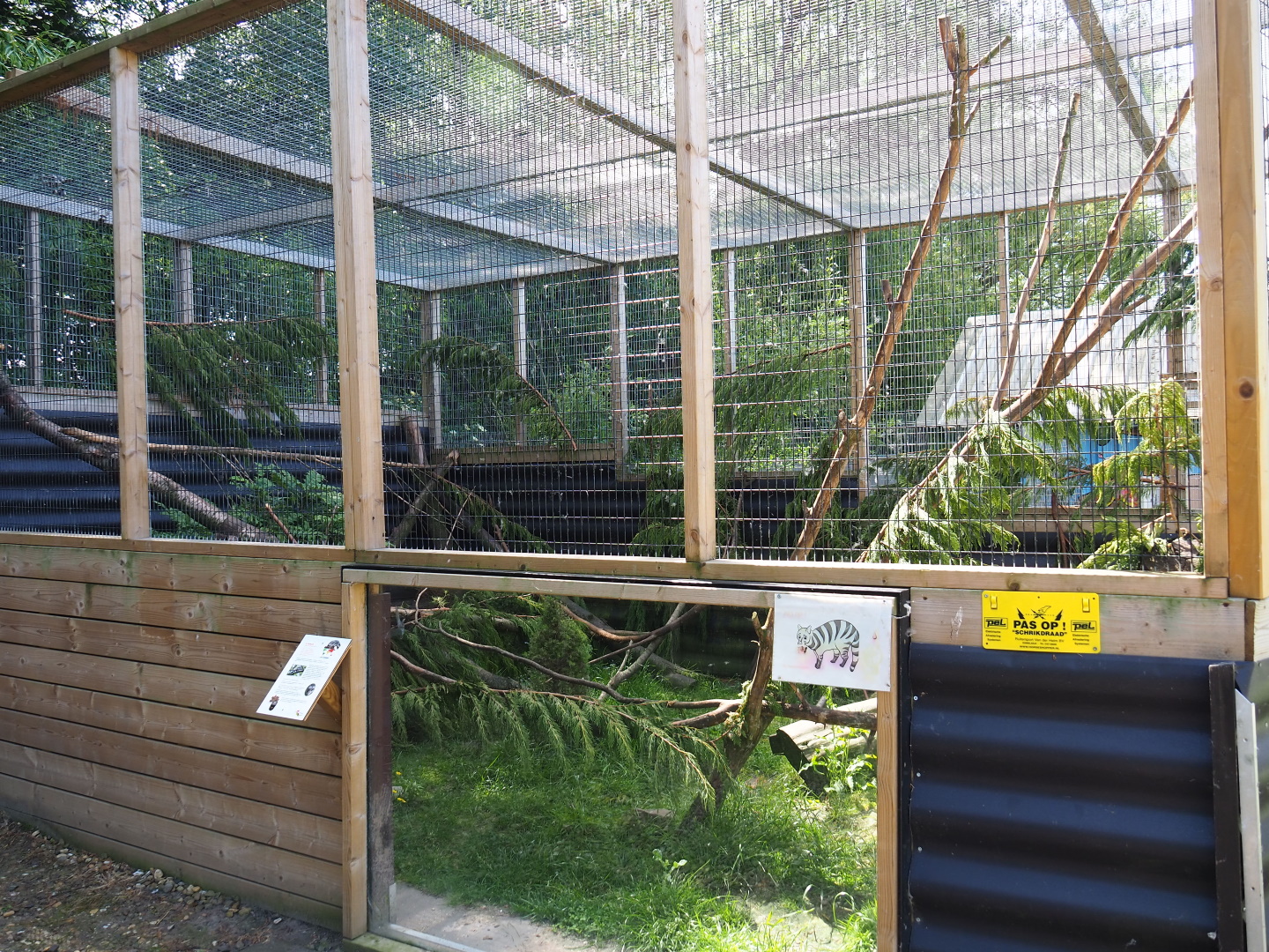 Asian palm civet exhibit, 2019-06-01