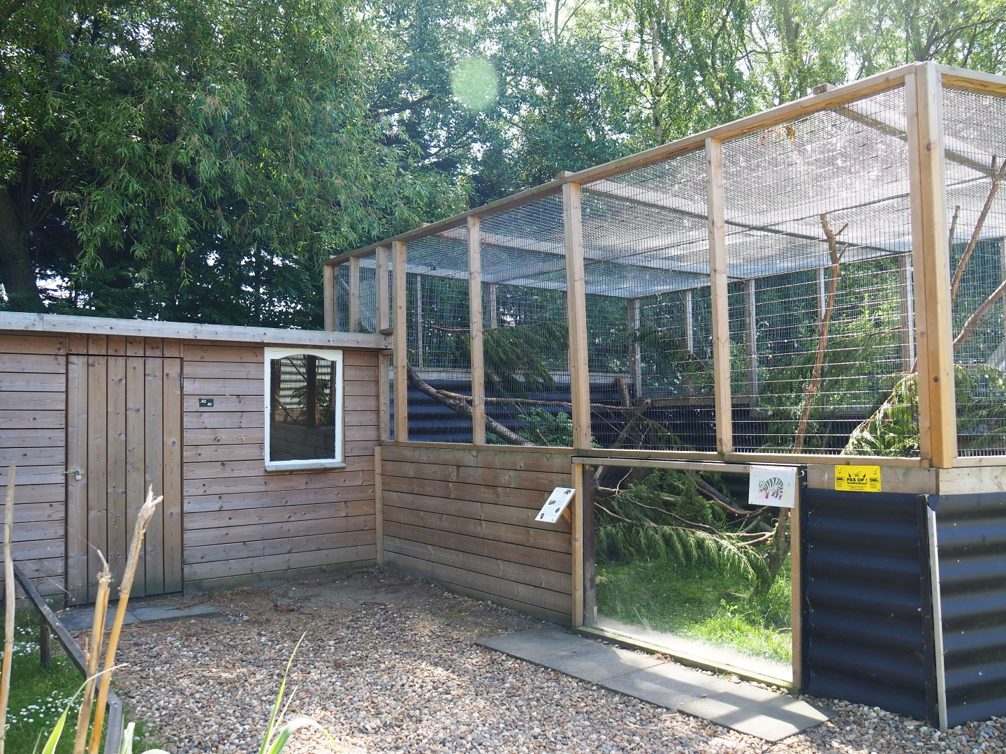 Asian palm civet exhibit and barn, 2019-06-01