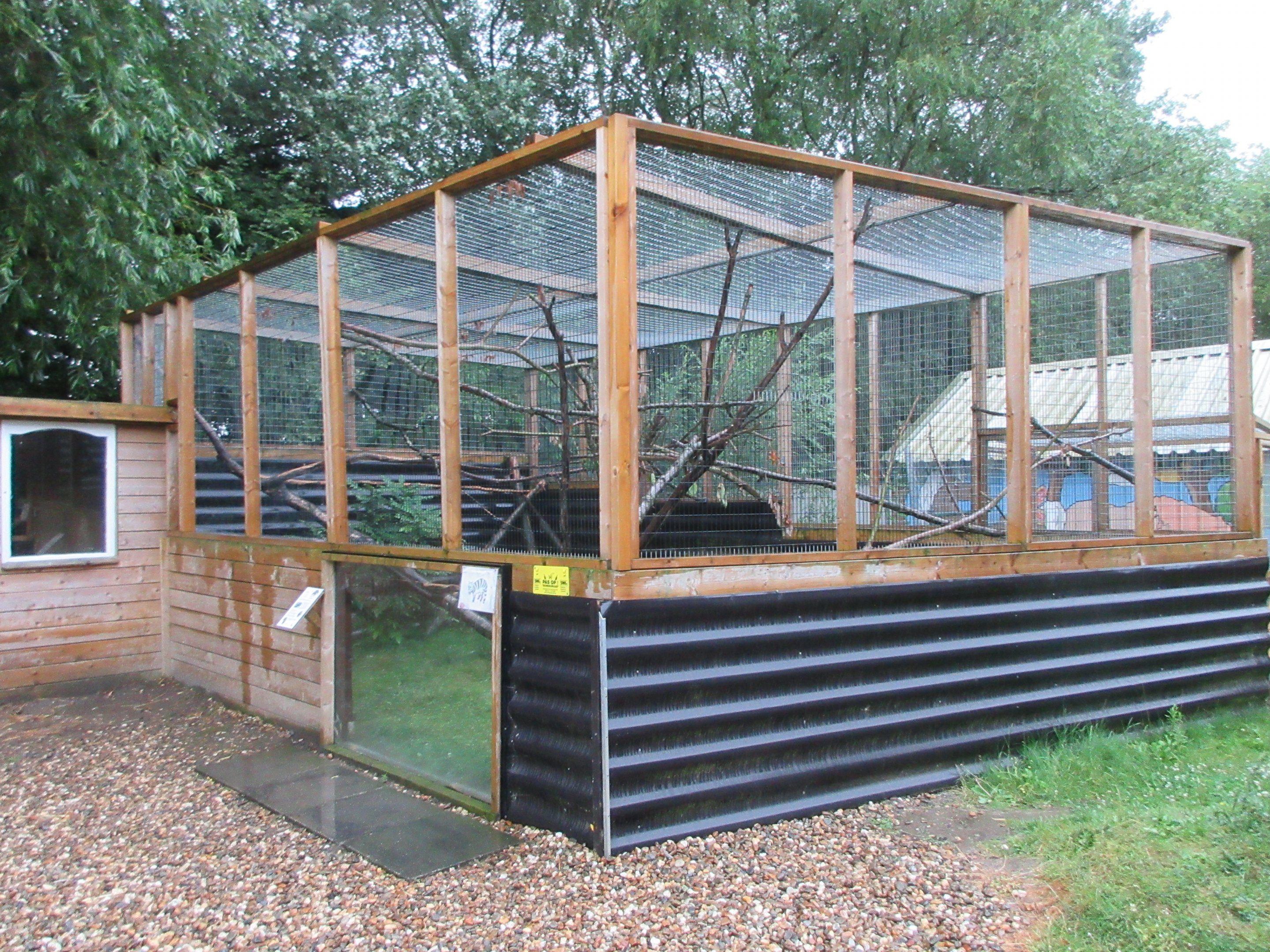 Asian Palm Civet Exhibit