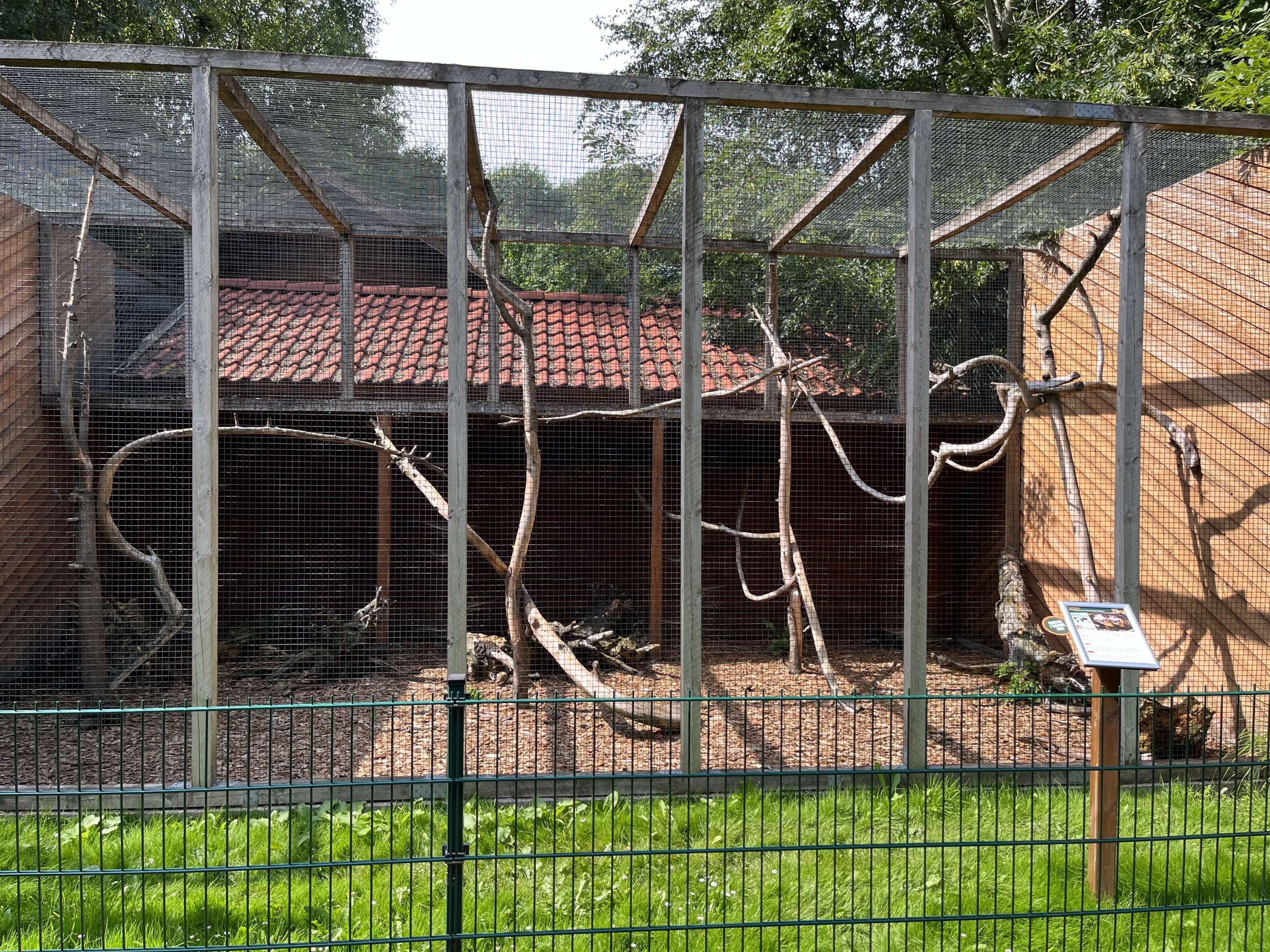 Asian Palm Civet Exhibit