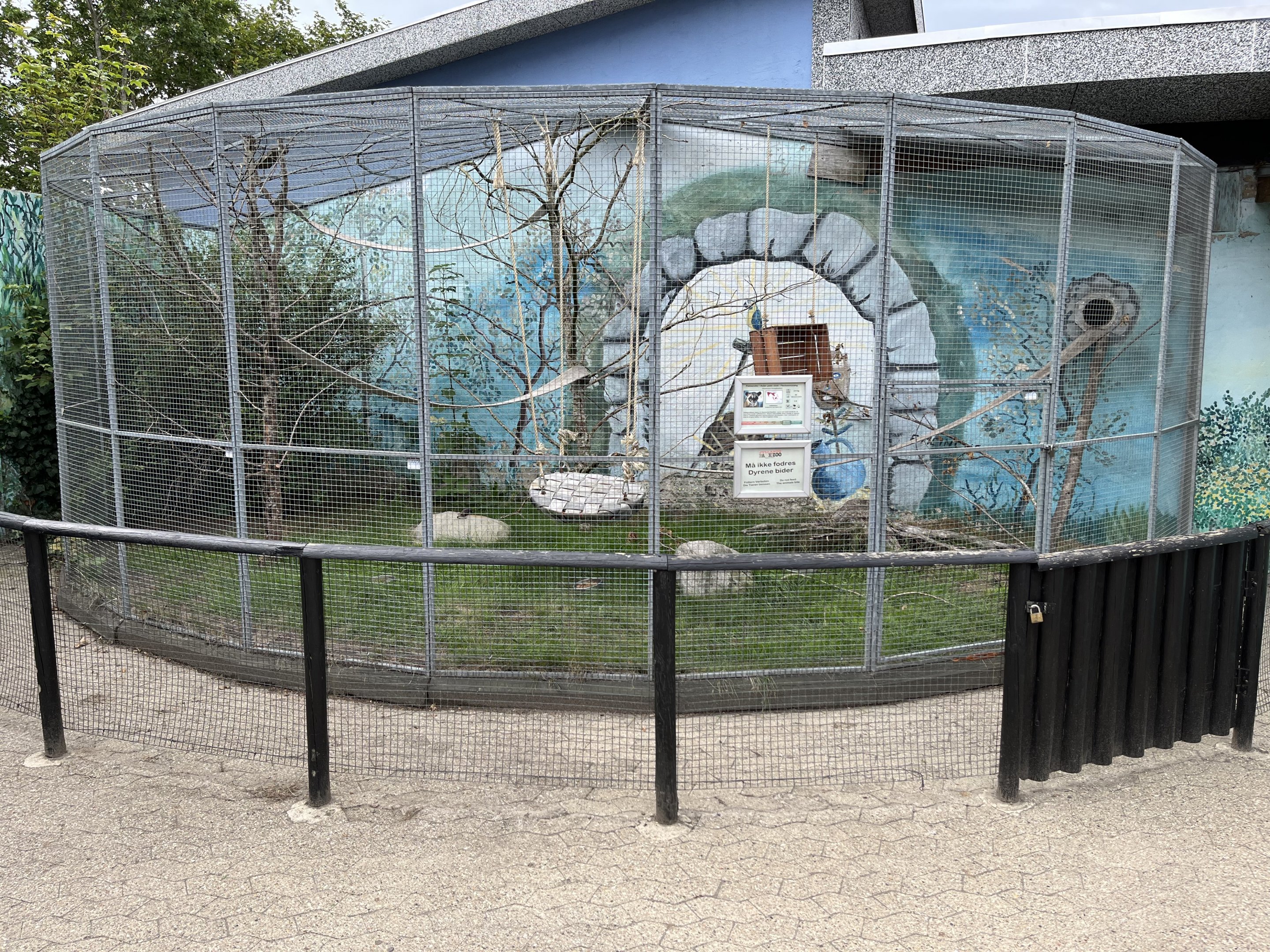 Asian Palm Civet Exhibit