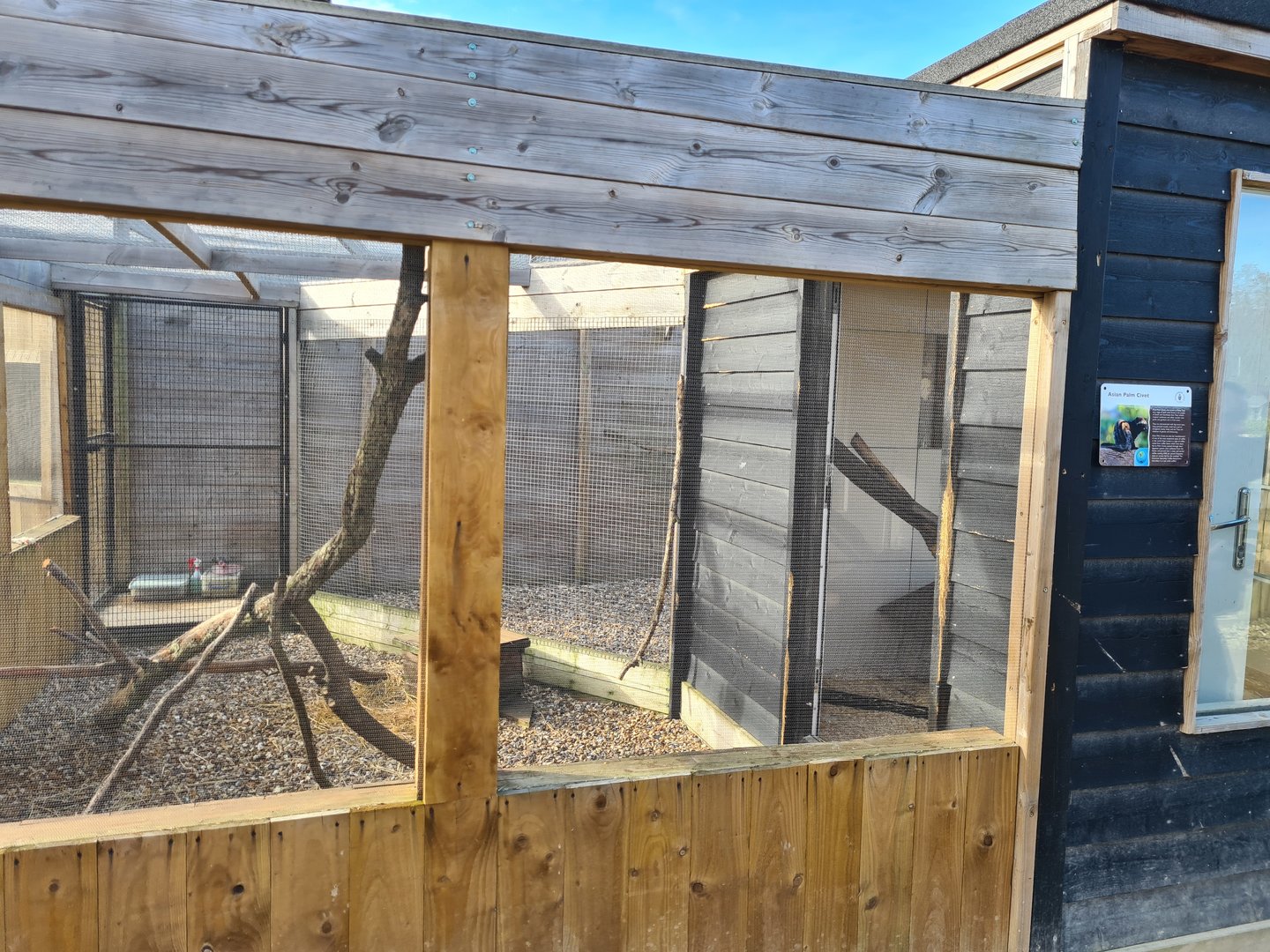 Asian Palm Civet Exhibit