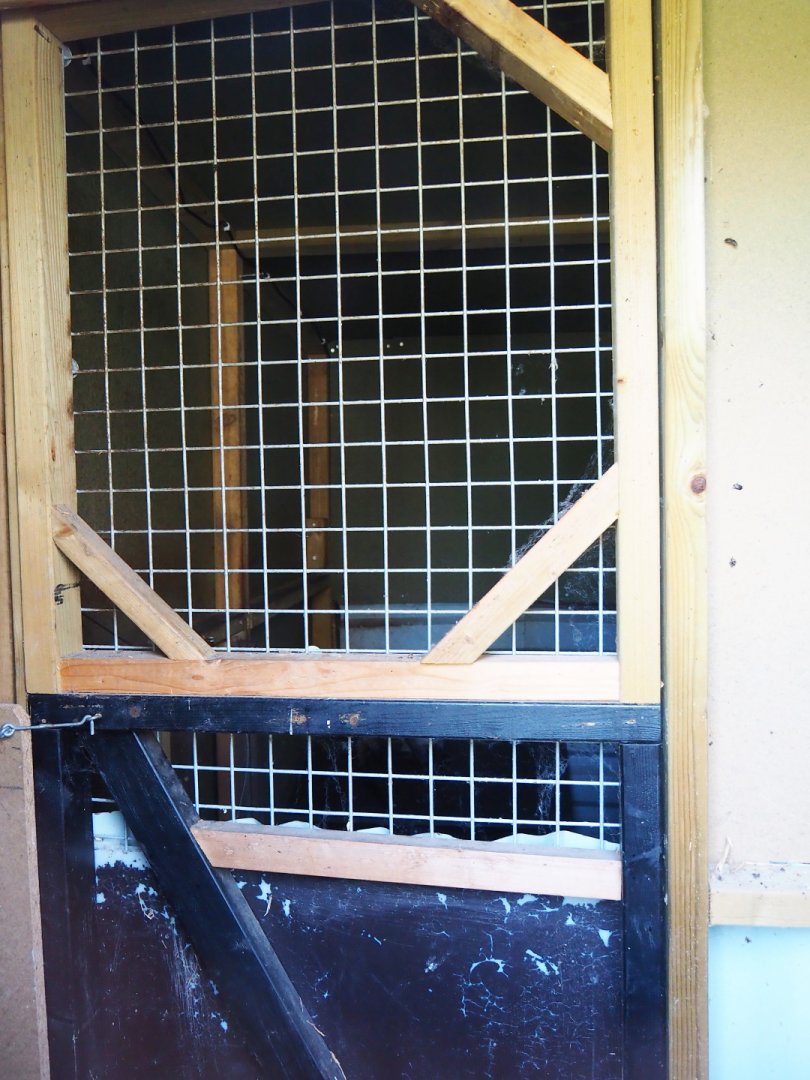 Asian palm civet indoor housing, 2019-06-01