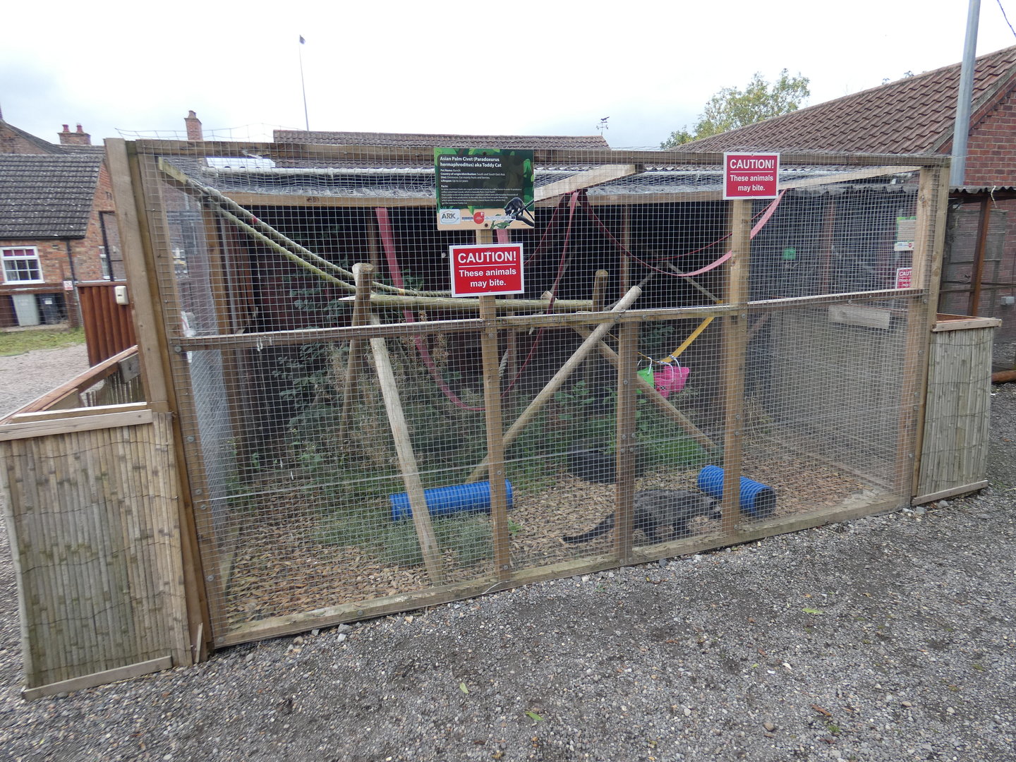 Asian palm civet outdoor enclosure