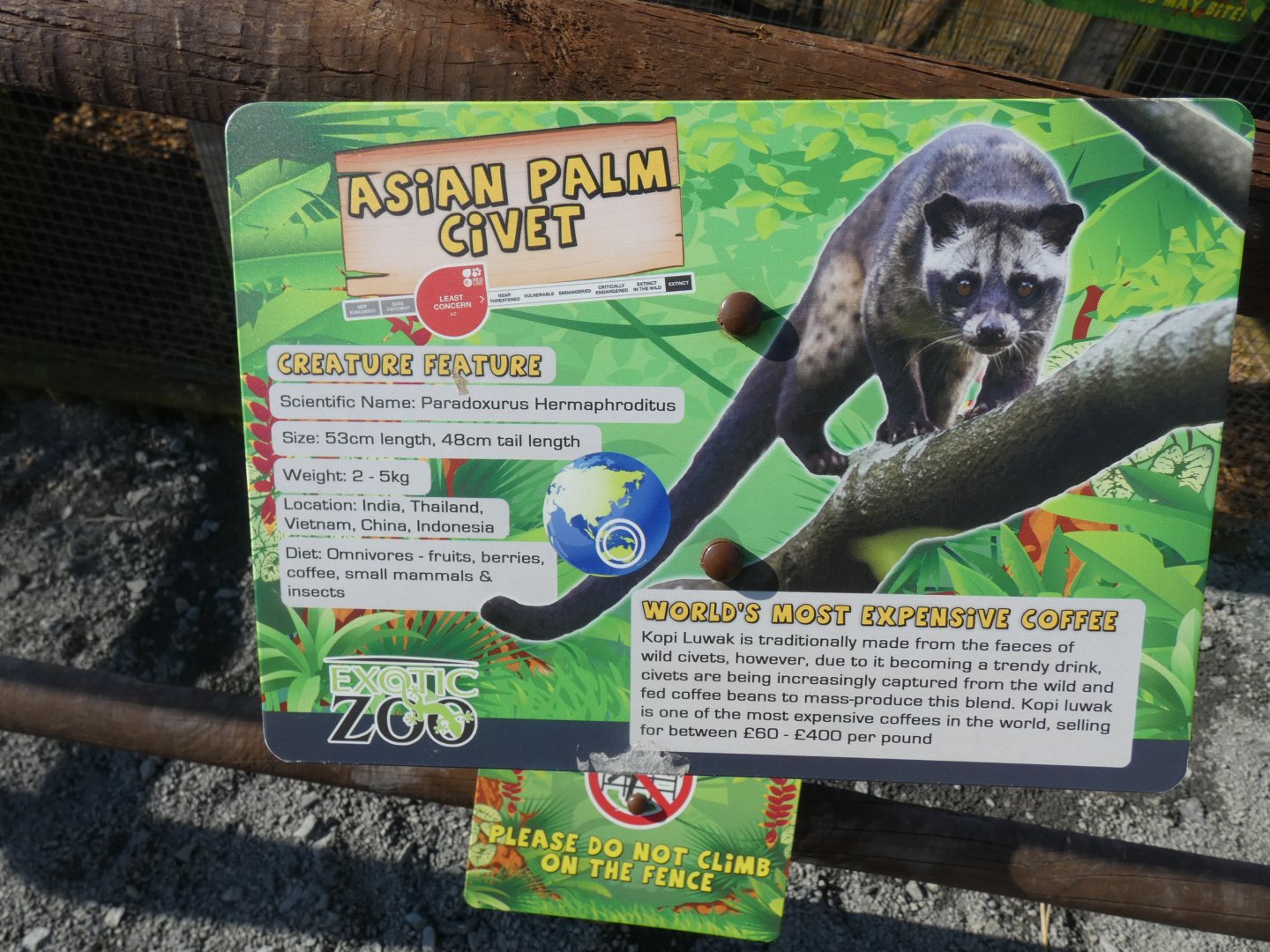 Asian Palm Civet signage