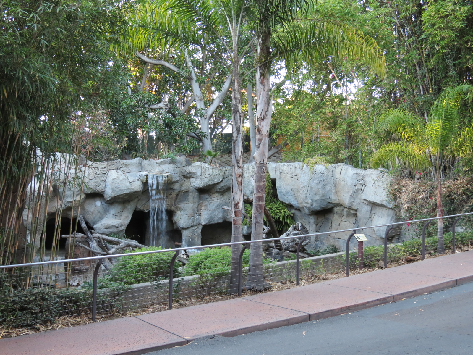 Asian Passage - Andean Bear Exhibit
