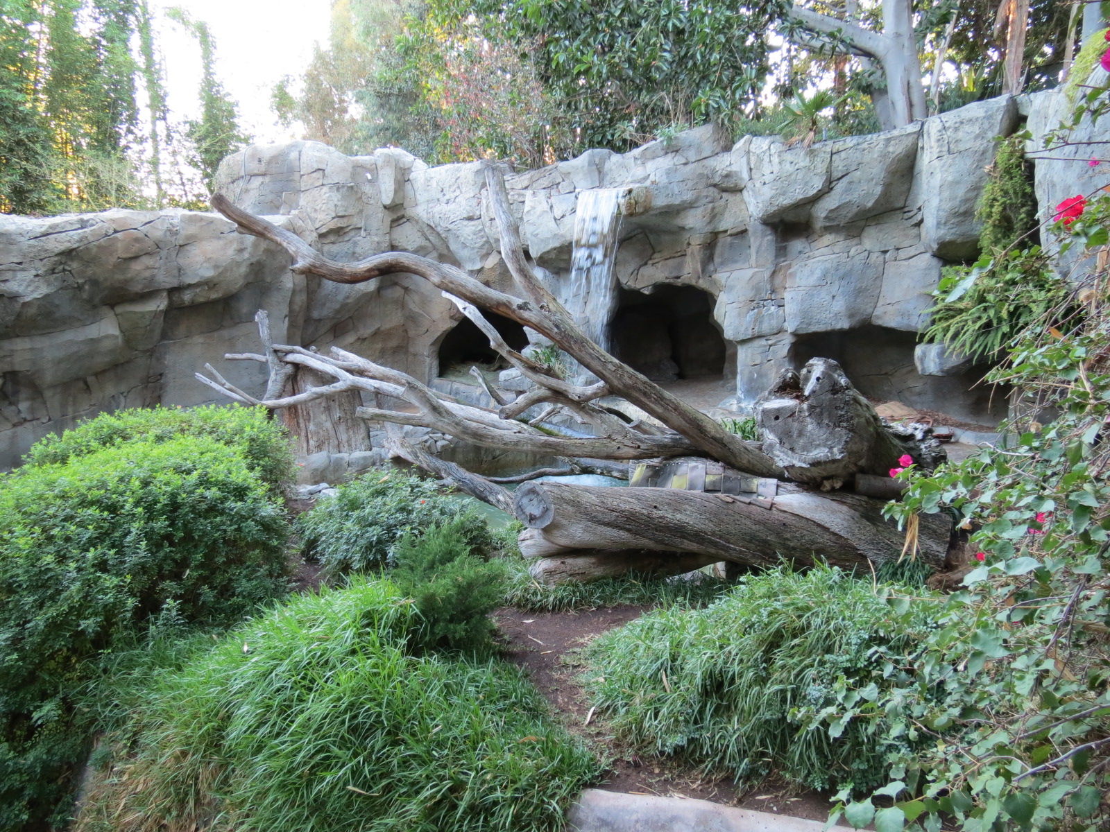 Asian Passage - Andean Bear Exhibit