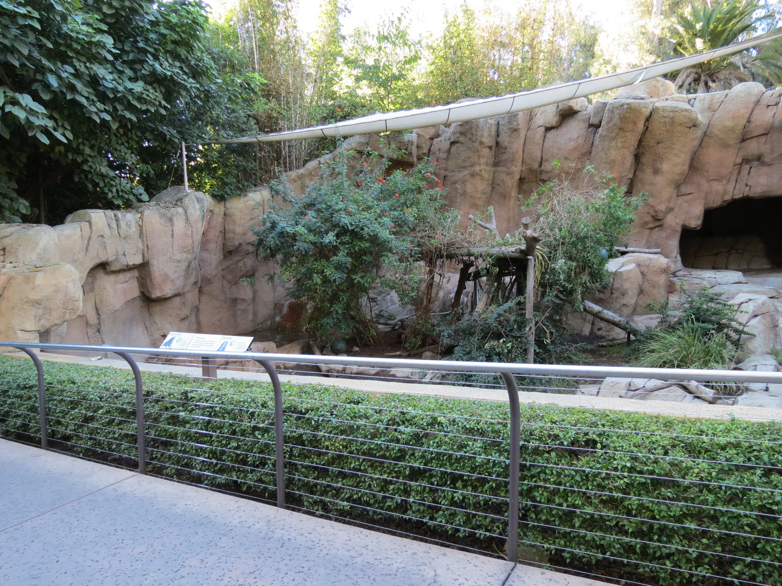 Asian Passage - Bornean Sun Bear and Andean Bear Rotational Exhibit 1