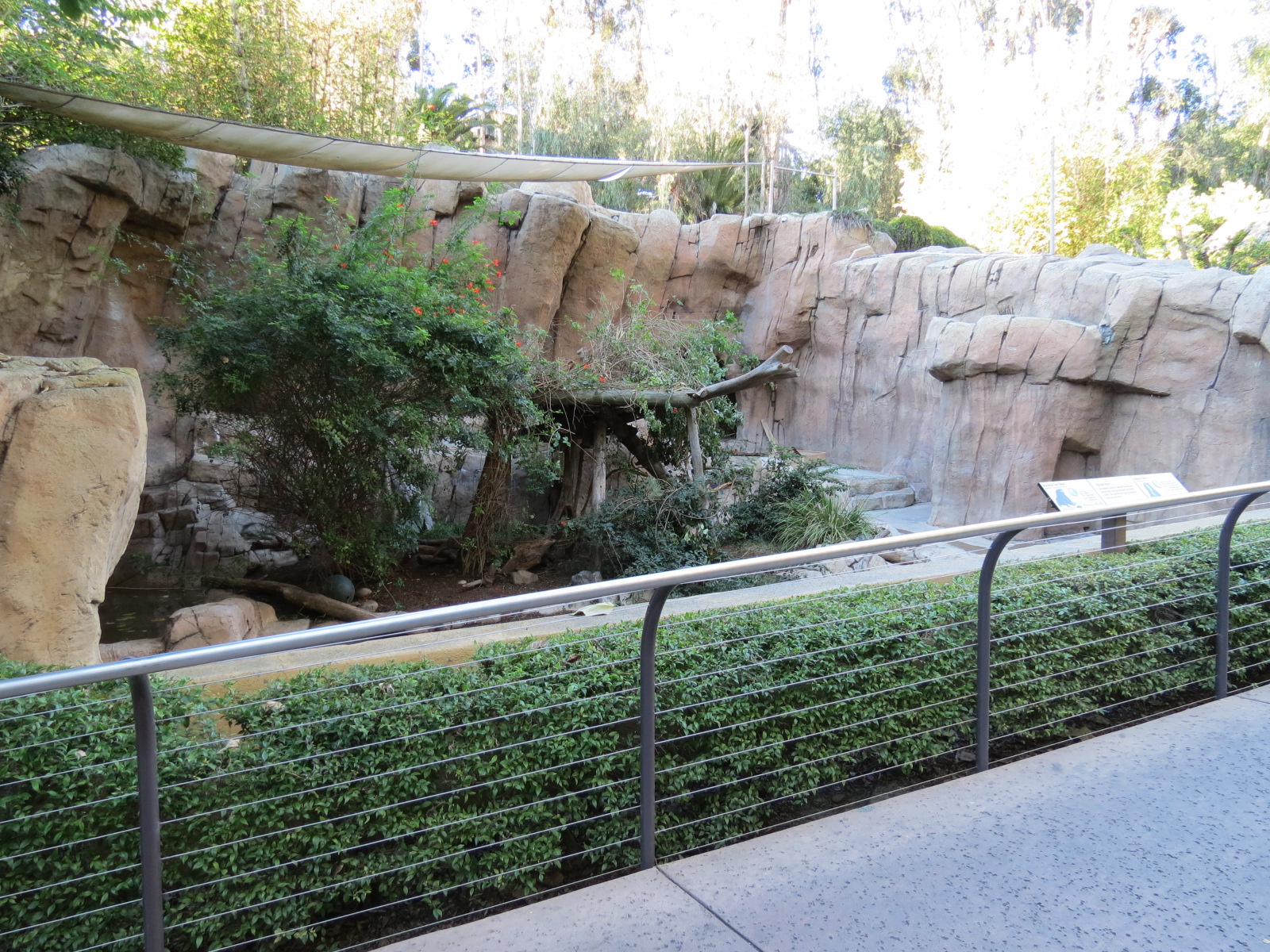 Asian Passage - Bornean Sun Bear and Andean Bear Rotational Exhibit 1