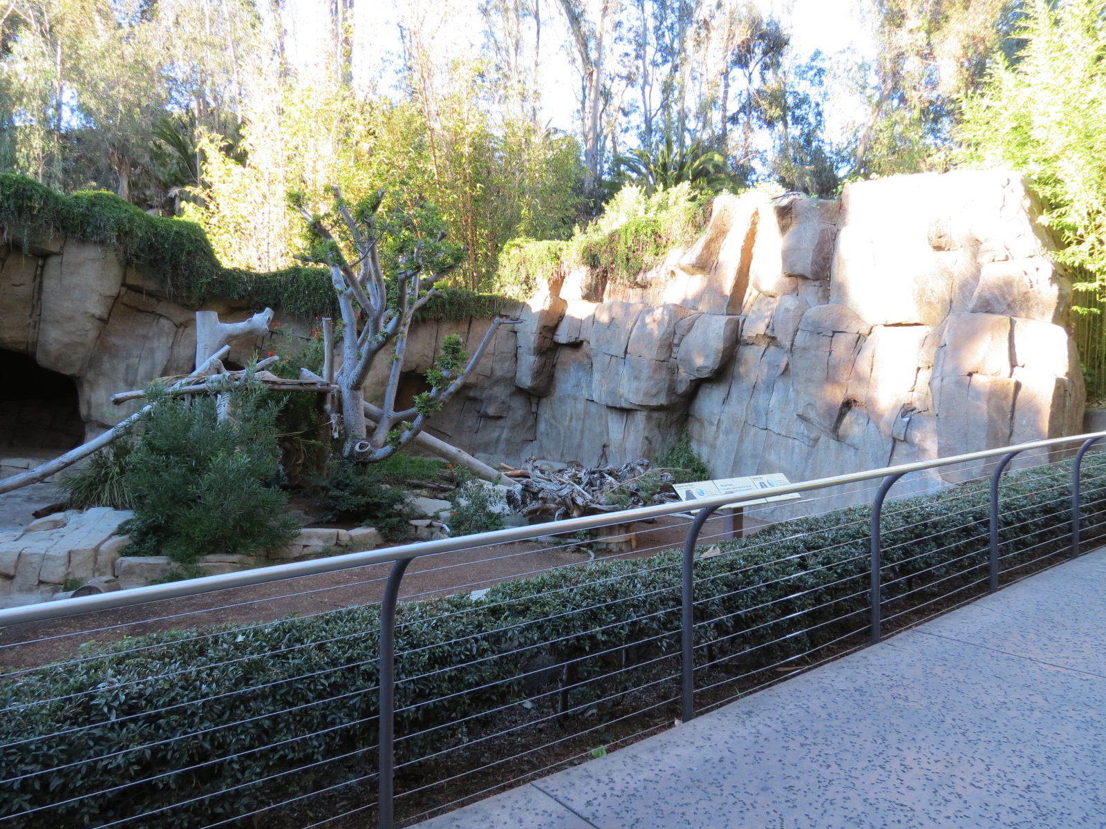 Asian Passage - Bornean Sun Bear and Andean Bear Rotational Exhibit 2